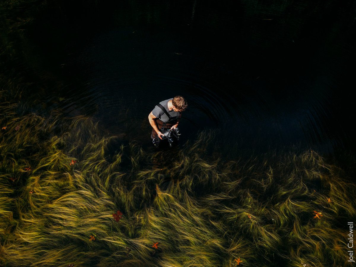 Steven David Johnson (by Joel Caldwell)