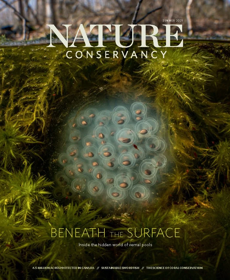 Beneath the Surface - Nature Conservancy Magazine