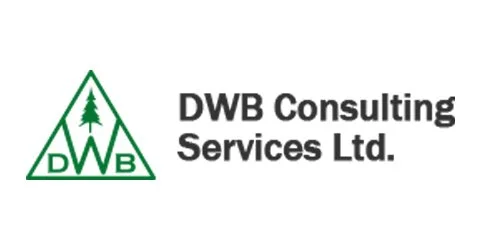 DWB Consulting Services Logo.jpg