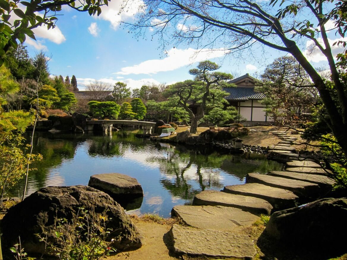 Japanese garden with blue skies, a small pond, and trees.