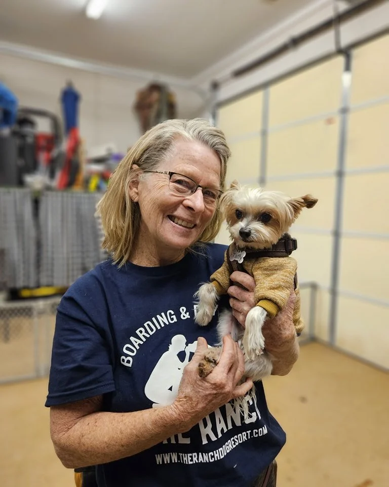 Unleash the Best in Your Pup Celebrate National Train Your Dog Month