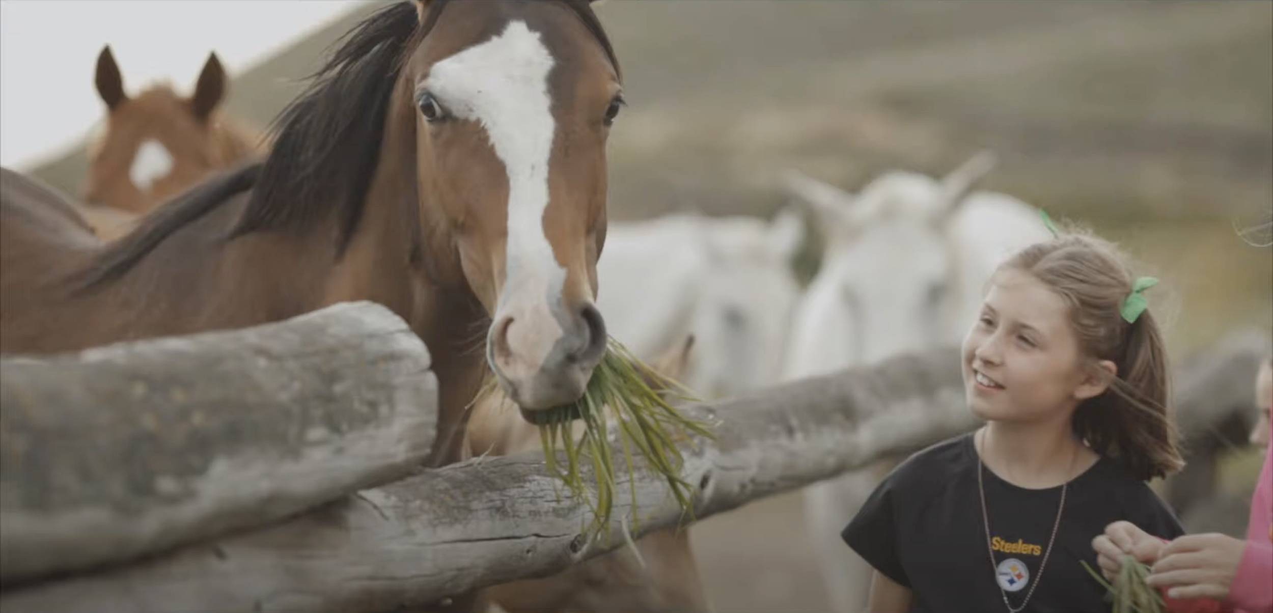 Family Ranch Getaway — COR Expeditions