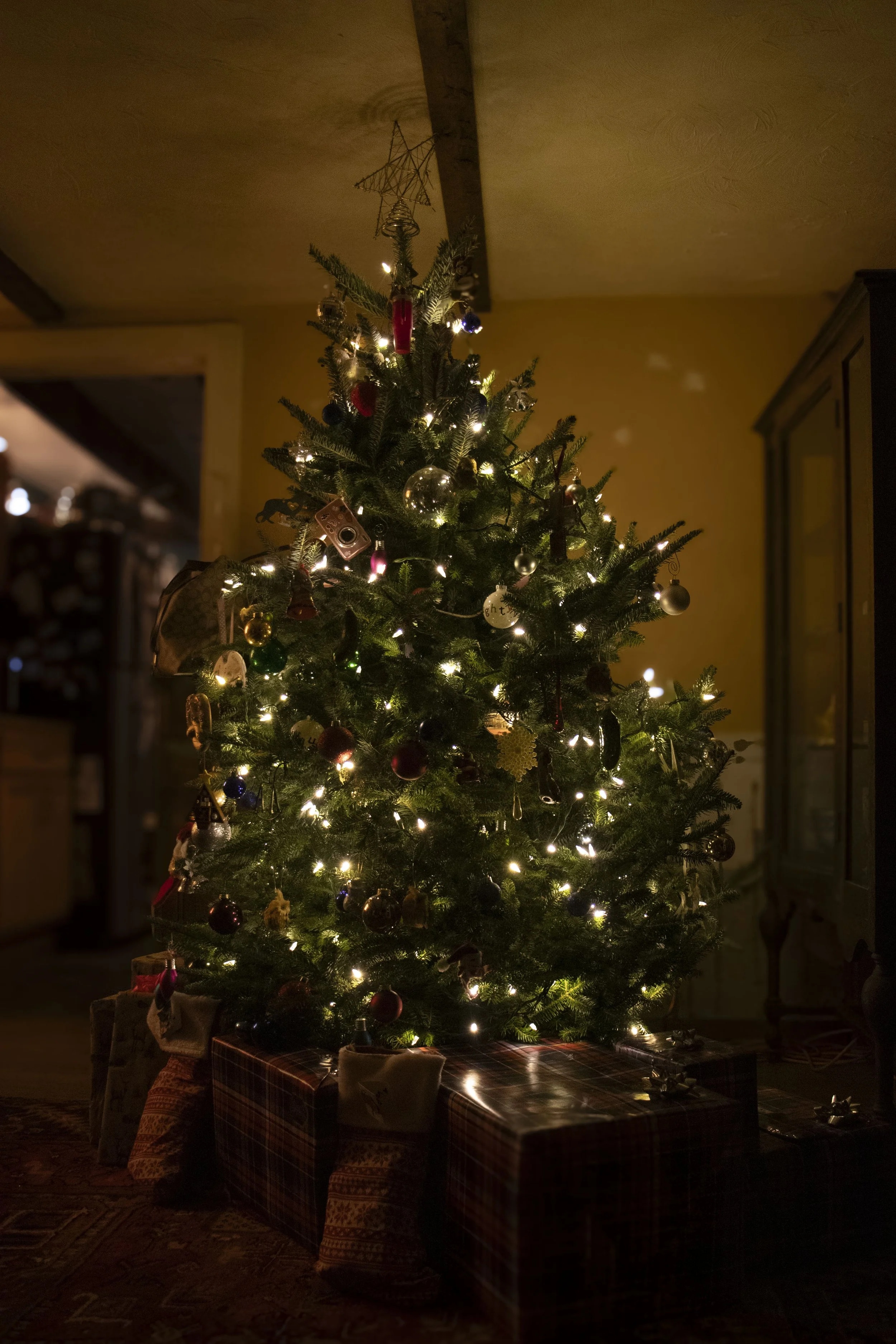 First Christmas 4.jpg