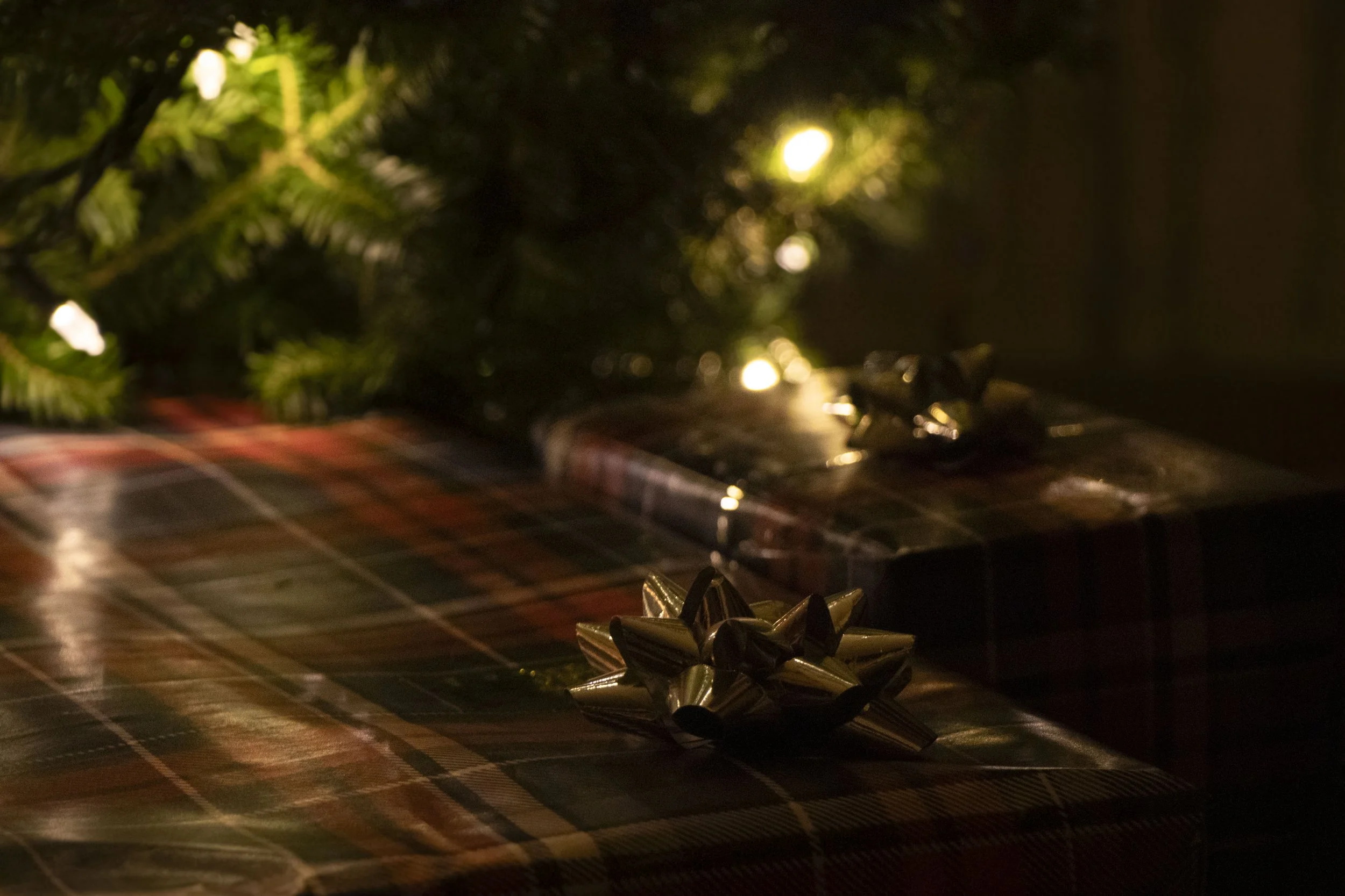 First Christmas 1.jpg