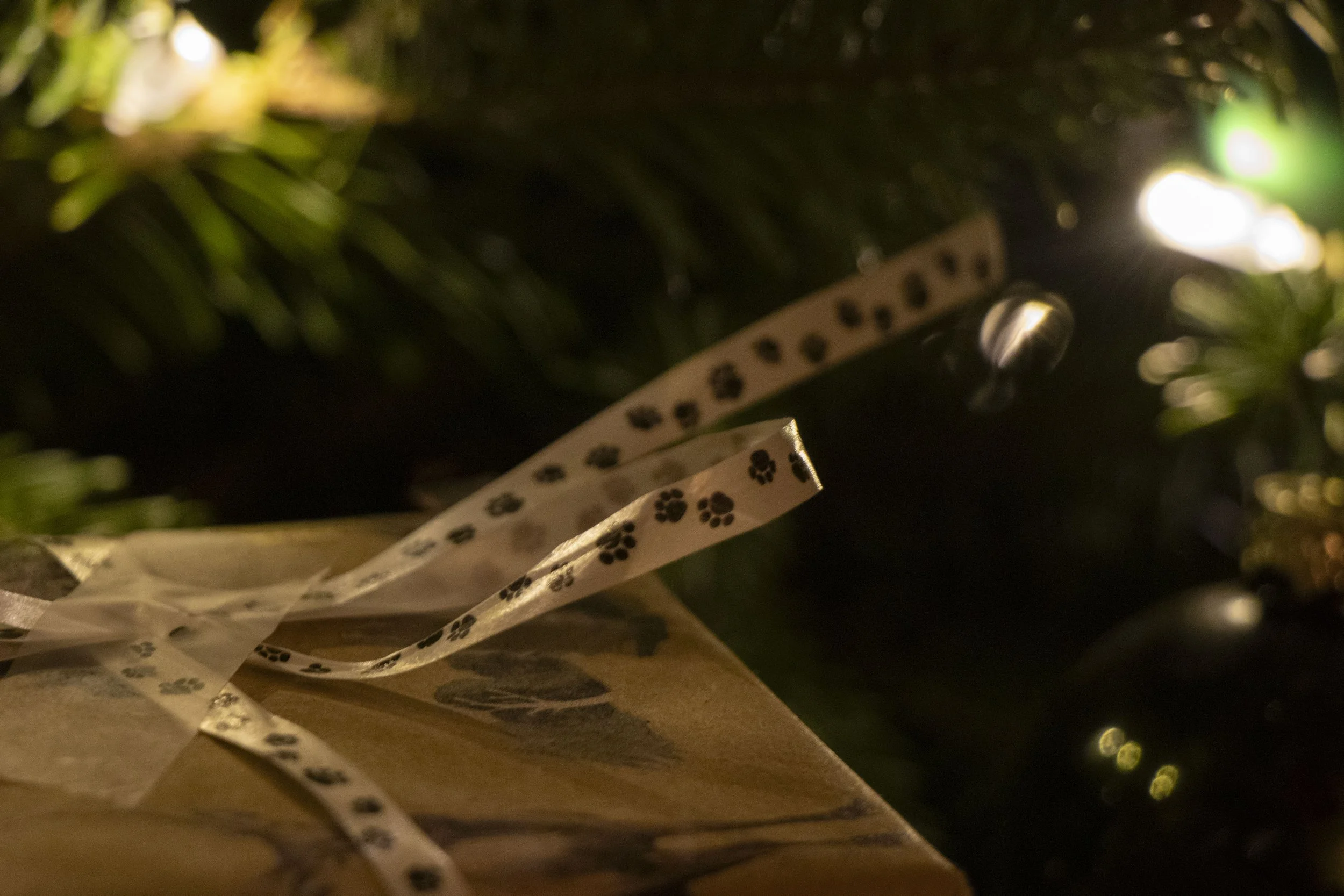 First Christmas 3.jpg