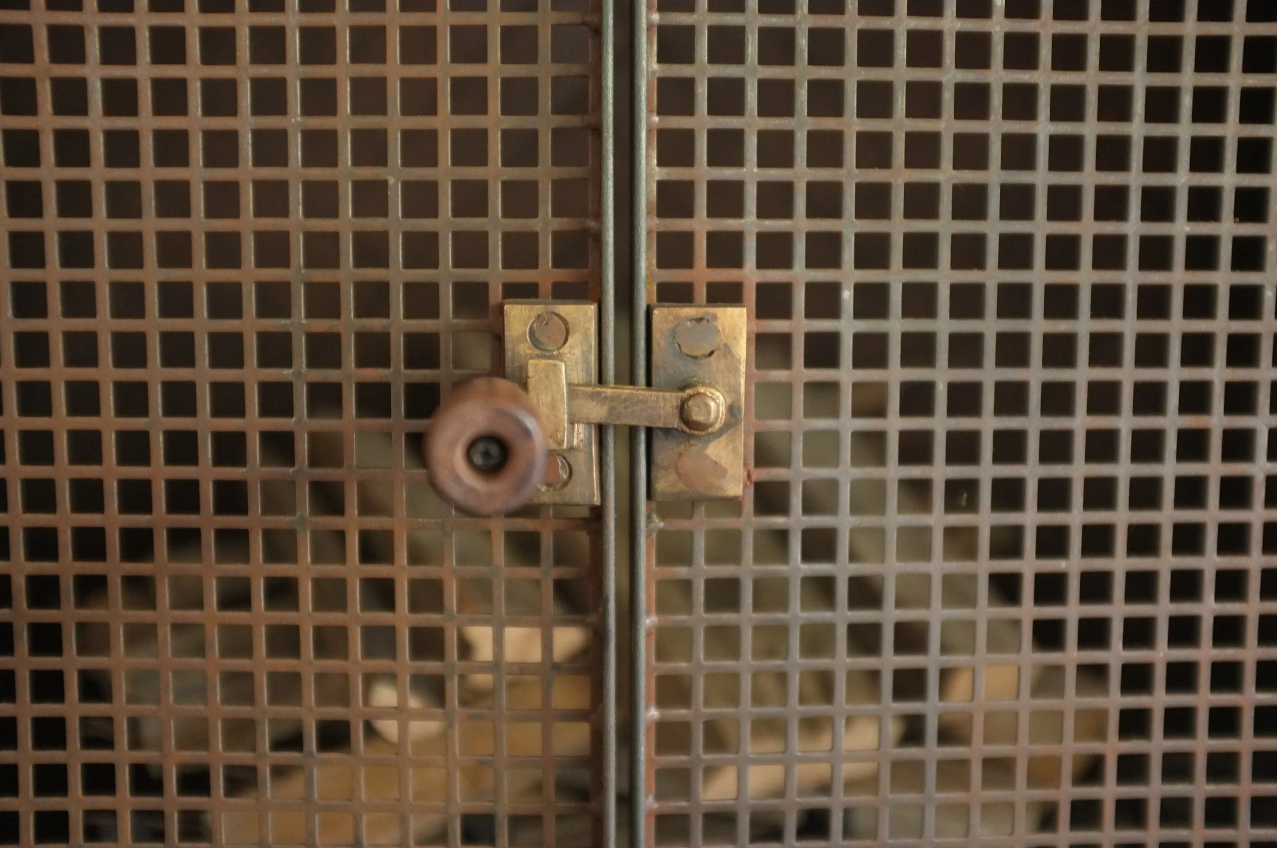 DSCF2074.JPG