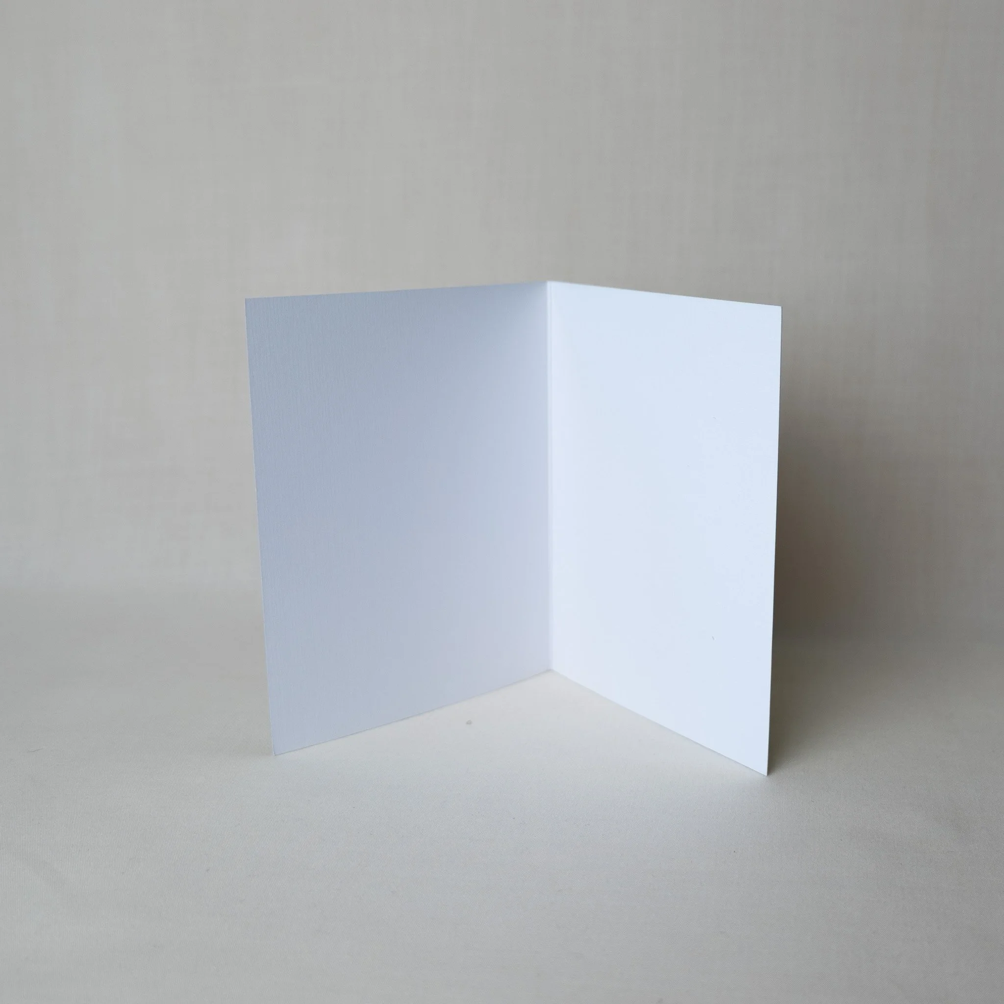 P1022666.jpg (Copy) (Copy) (Copy)