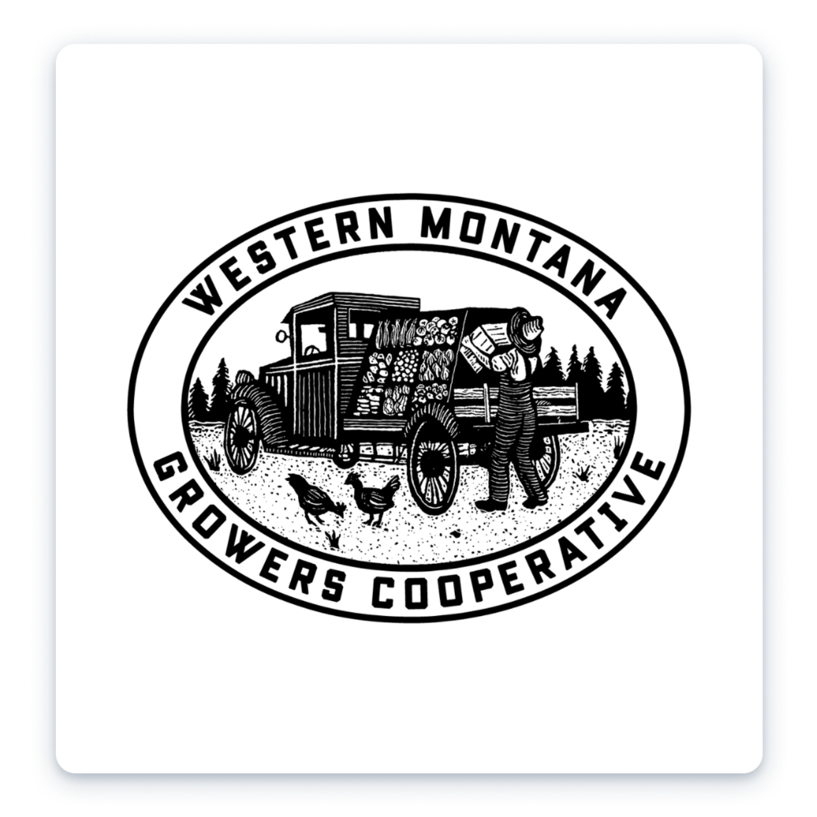 6.png