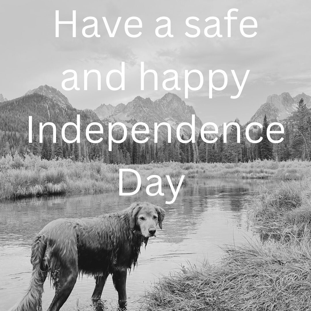 Happy 4th of July!

#july4th #july4 #independenceday #dogsofinstagram #cutedogs #cutedogsofinstagram #boise #boiseidaho