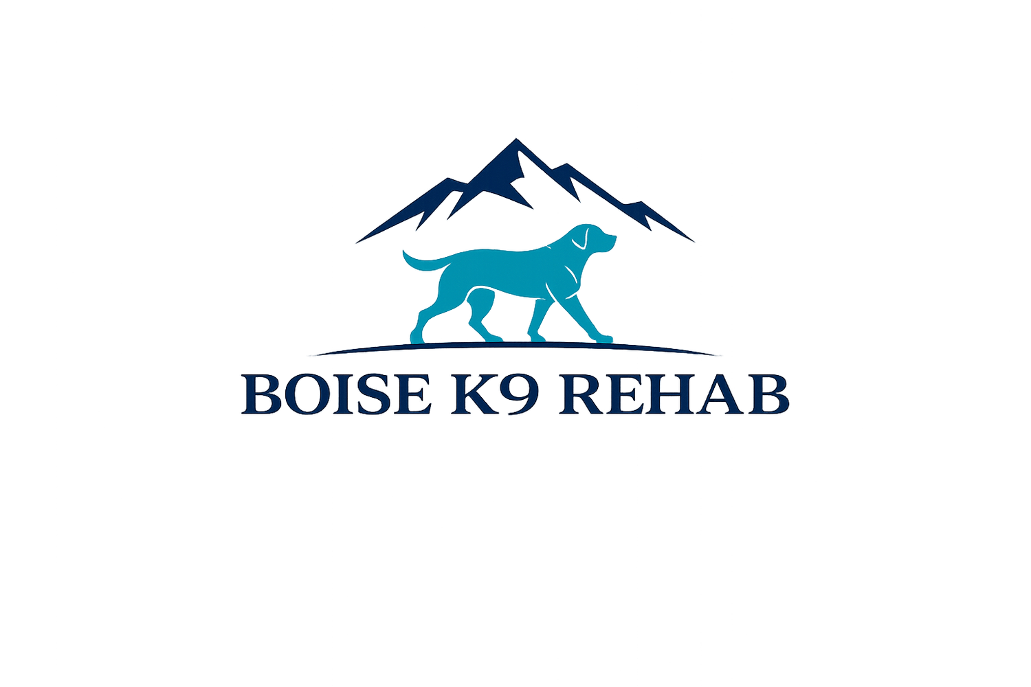 Boise K9 Rehab