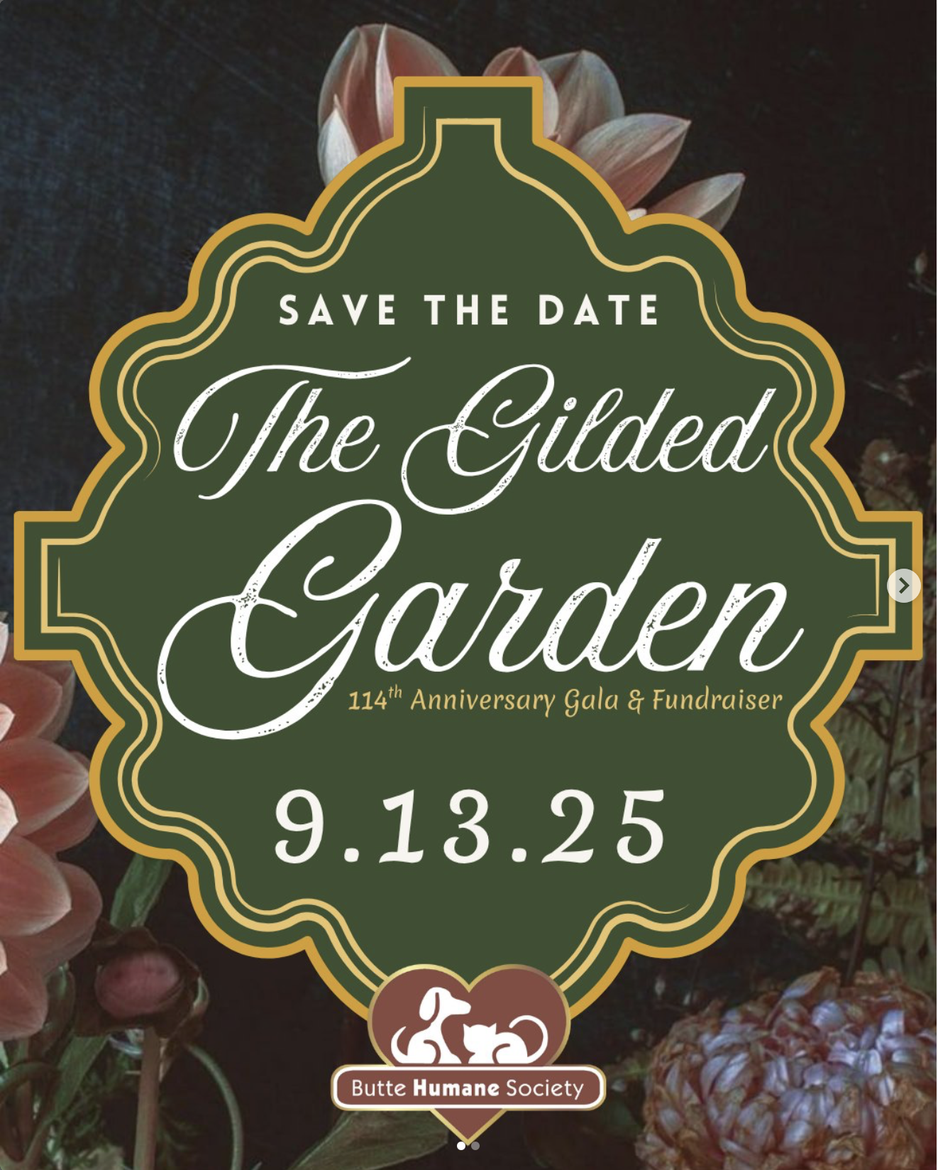 114th Butte Humane Society Anniversary Gala