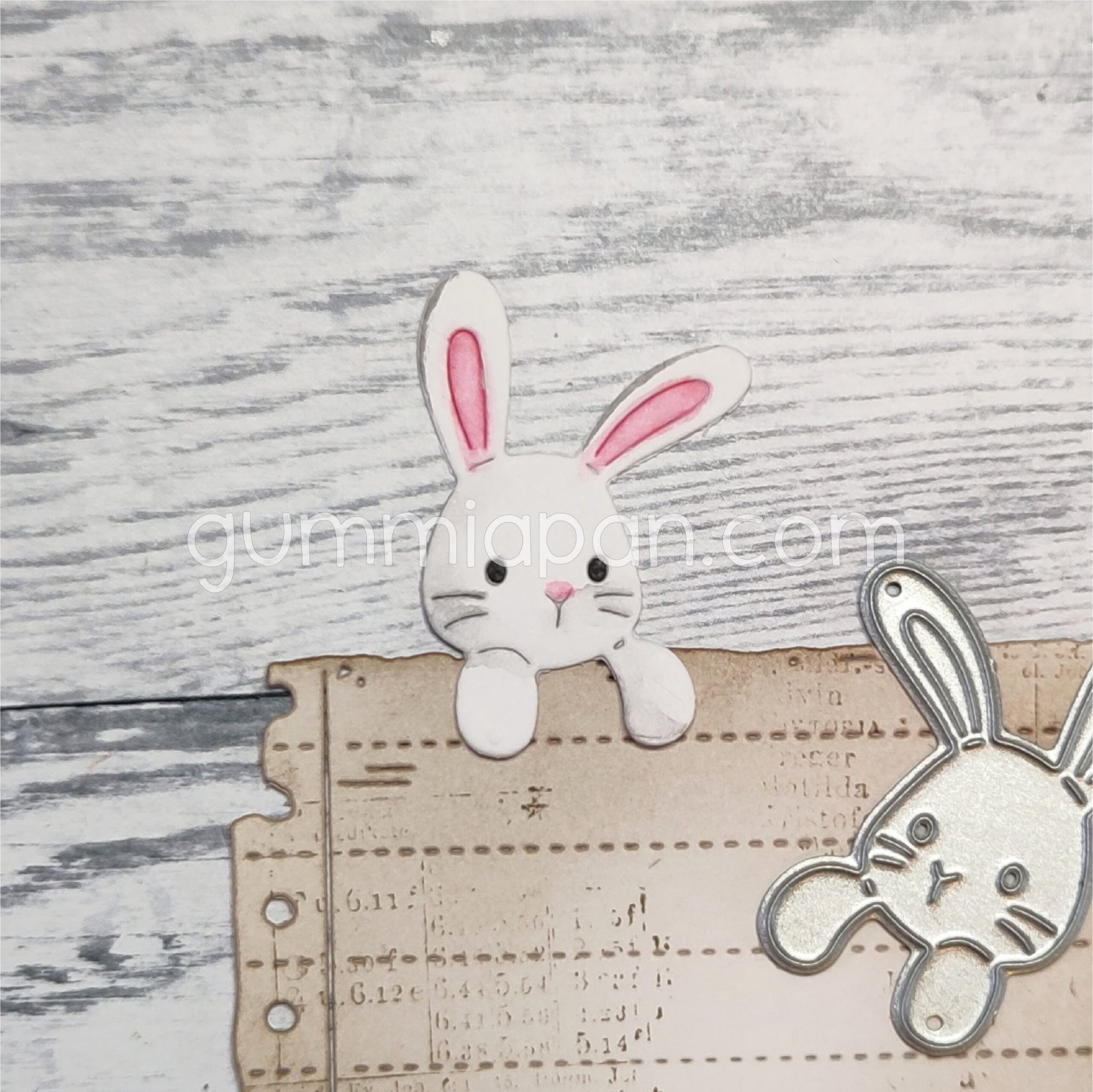 Peekaboo Bunny
