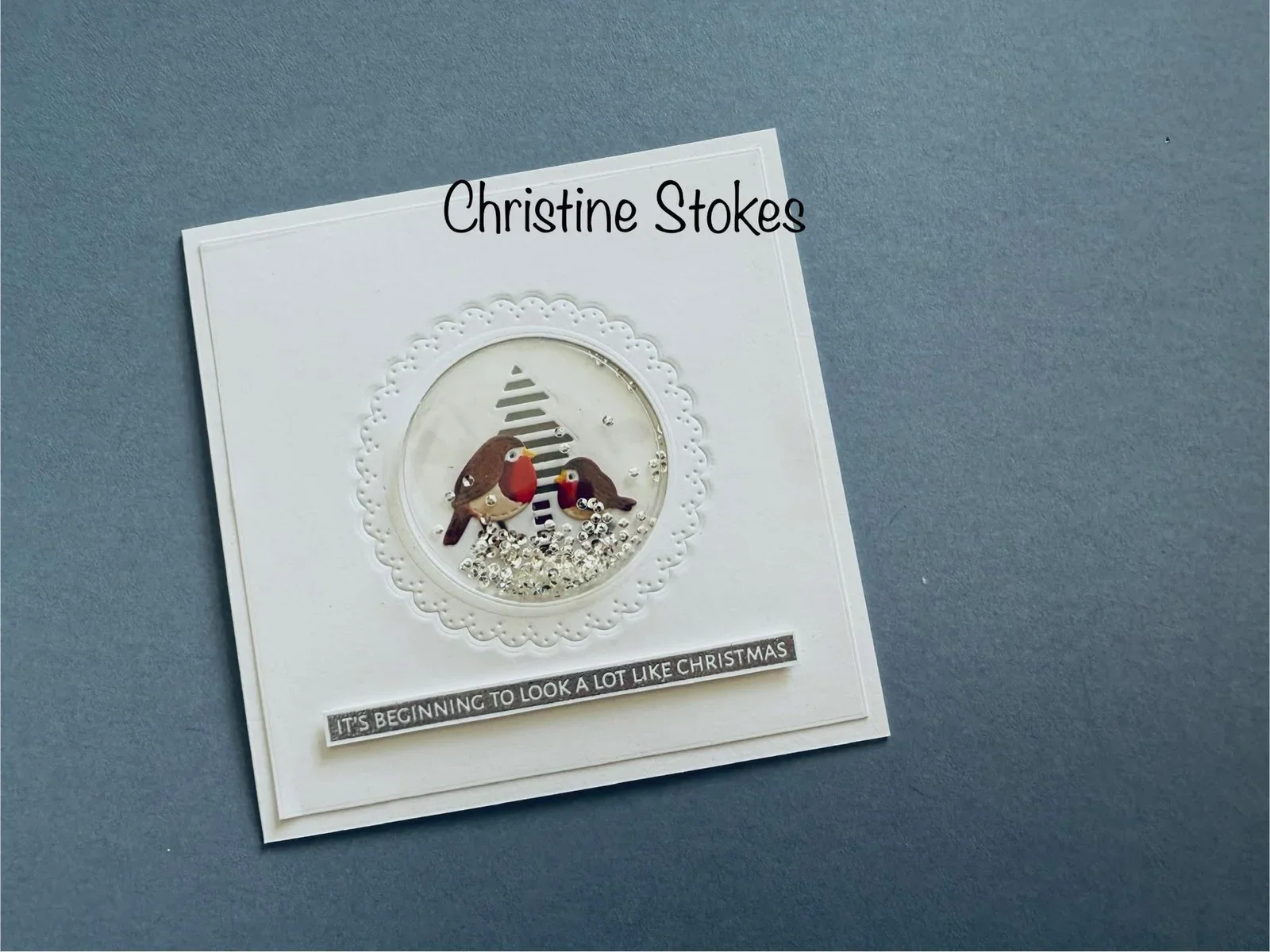 Festive Robin Collection 4.webp