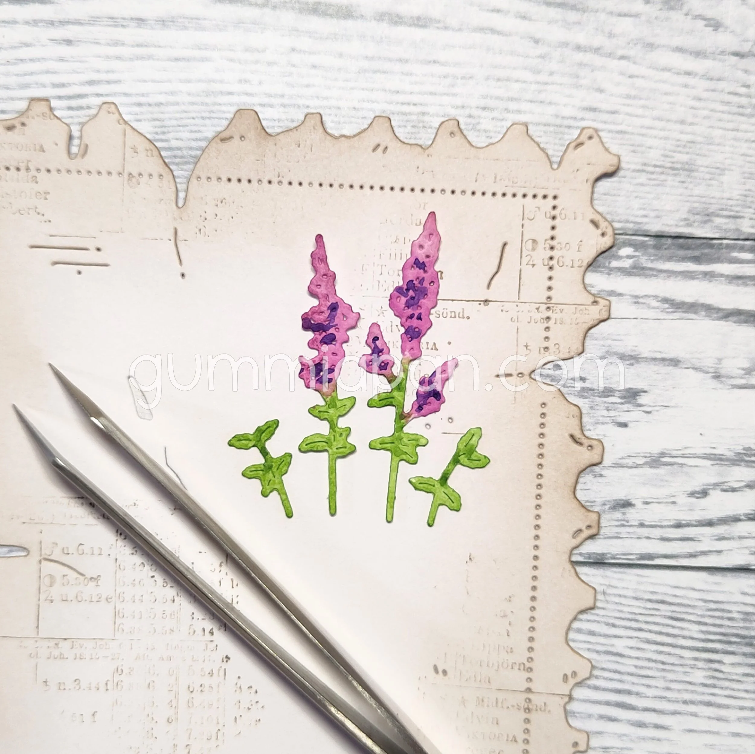 Small Lupins