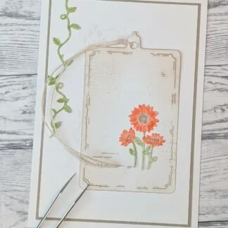 Small Gerberas