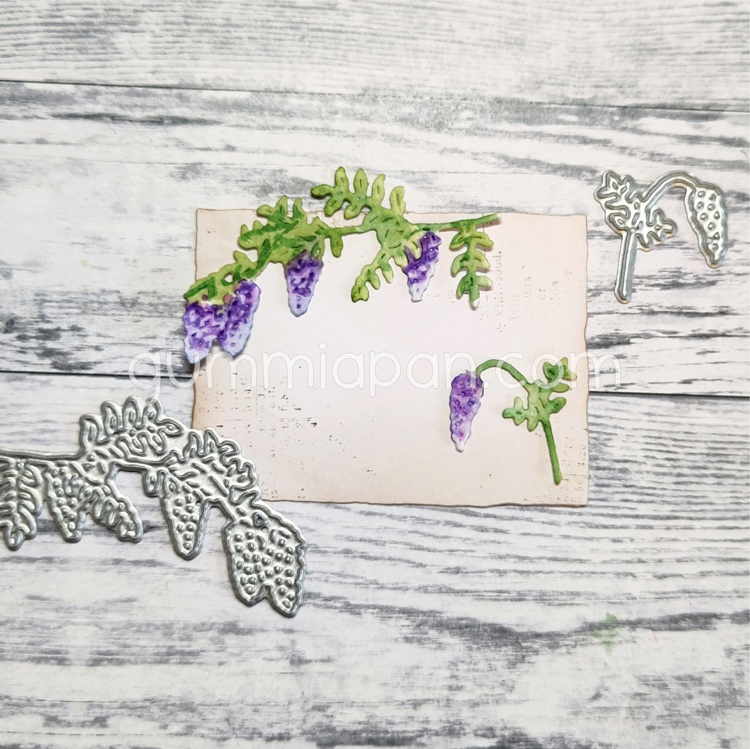 Wisteria 1