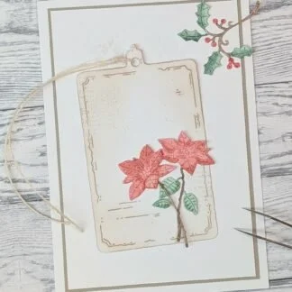 Poinsettia 2