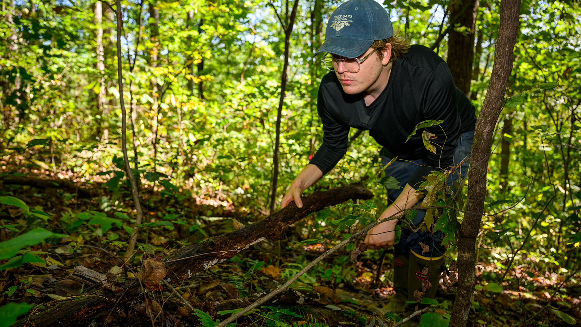 Student Spotlight: William Taylor
