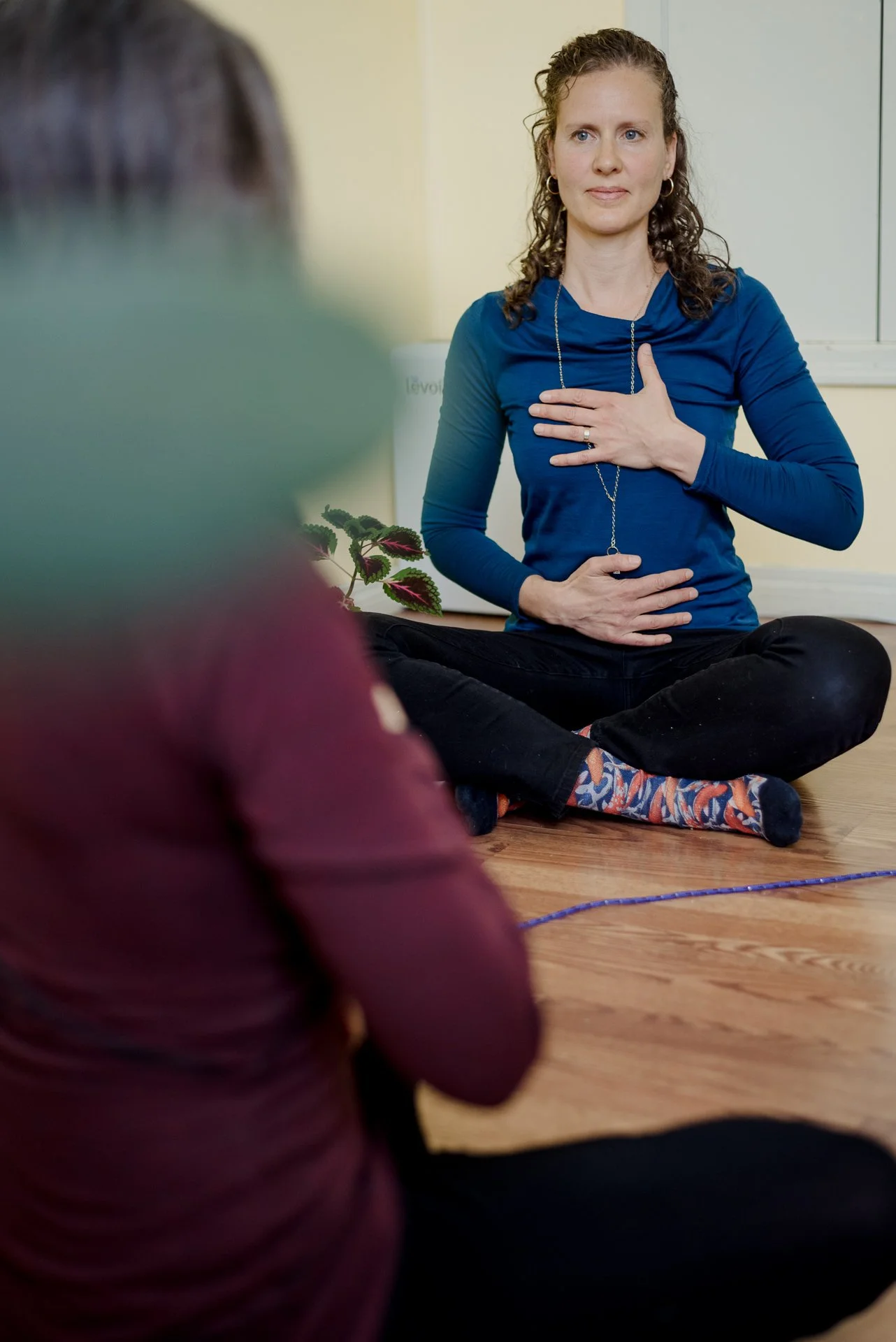 somatic therapist mindfulness practice
