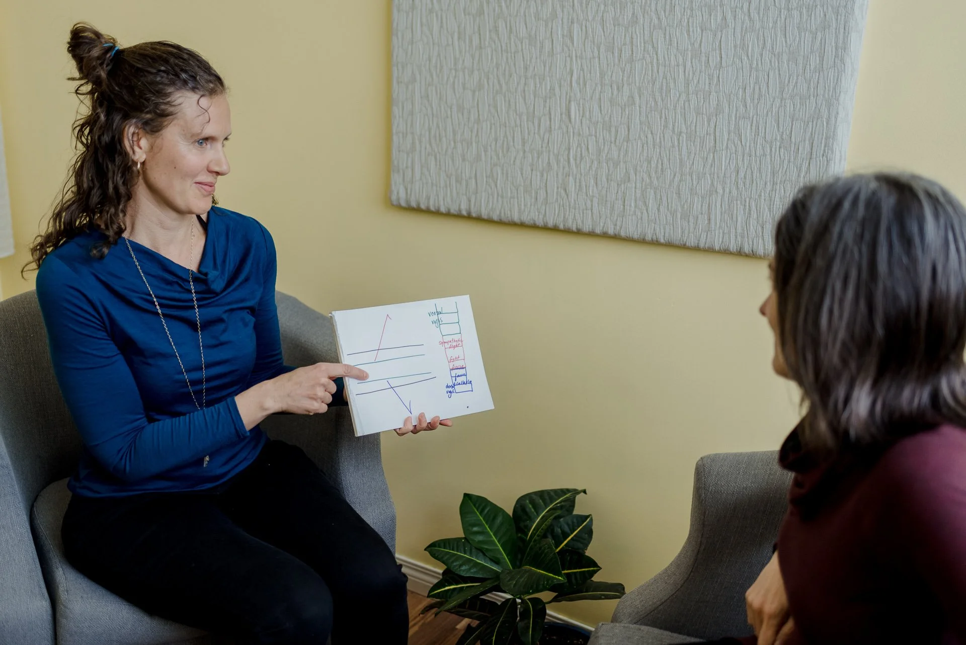 somatic therapist individual counselling
