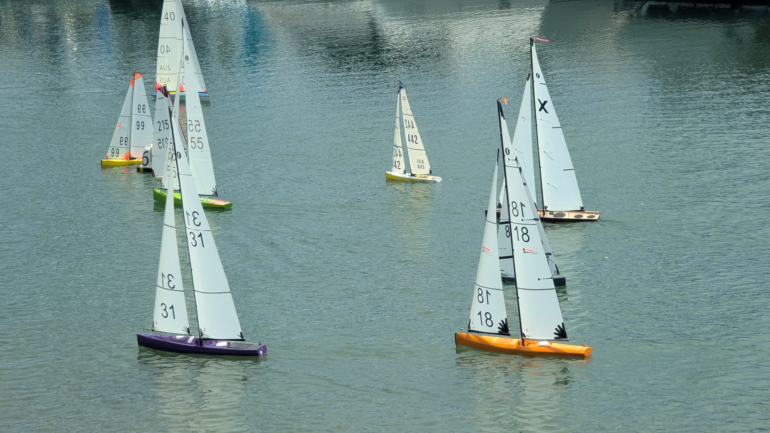Scratch Race 3 11th Jan 2026