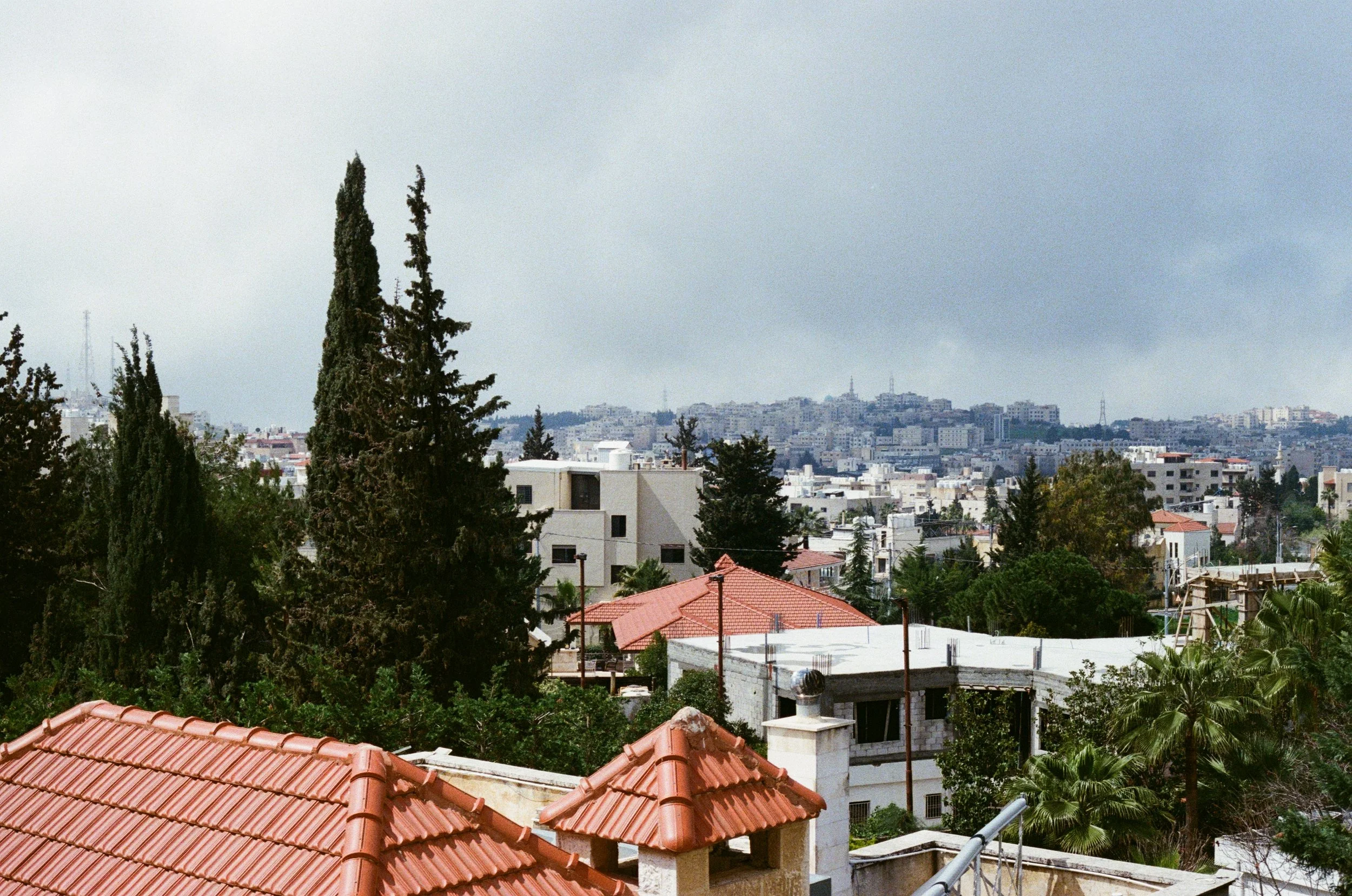 000073230010.jpg