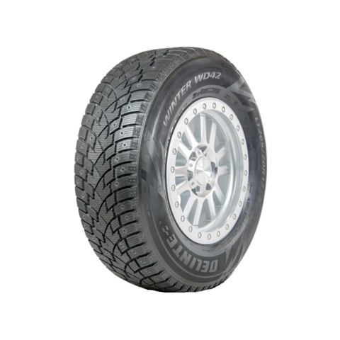 DELINTE%20WINTER%20WD42.png