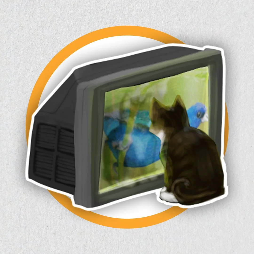 Birdwatching Boba Jo