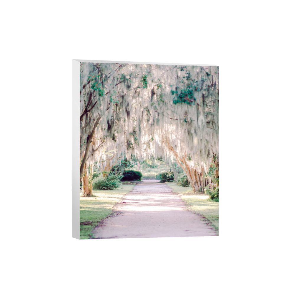 ptq_7_6_0_352_2850_3562_0_false_ffffff_0_0_.png