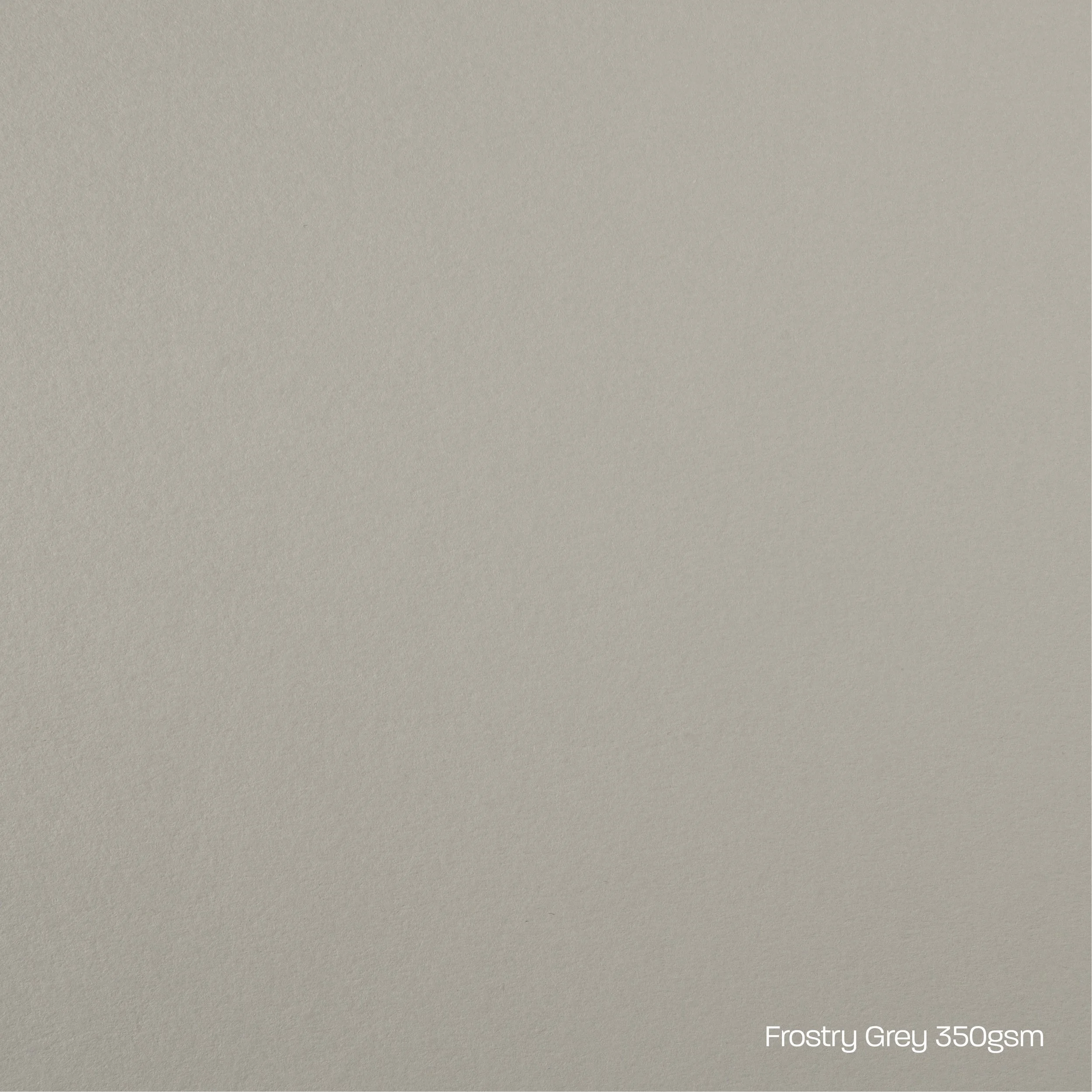 Frosty Grey Card Stock