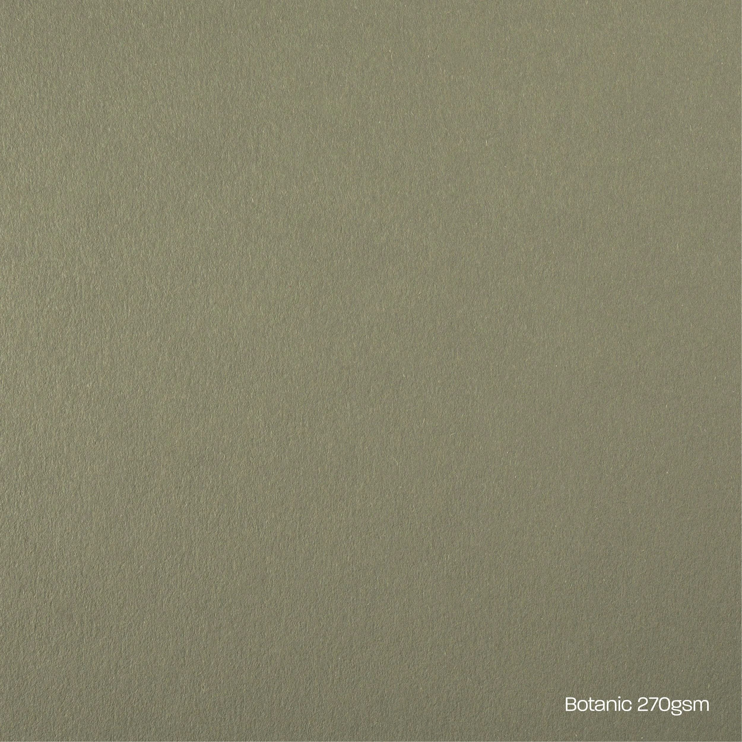 Botanic Card Stock