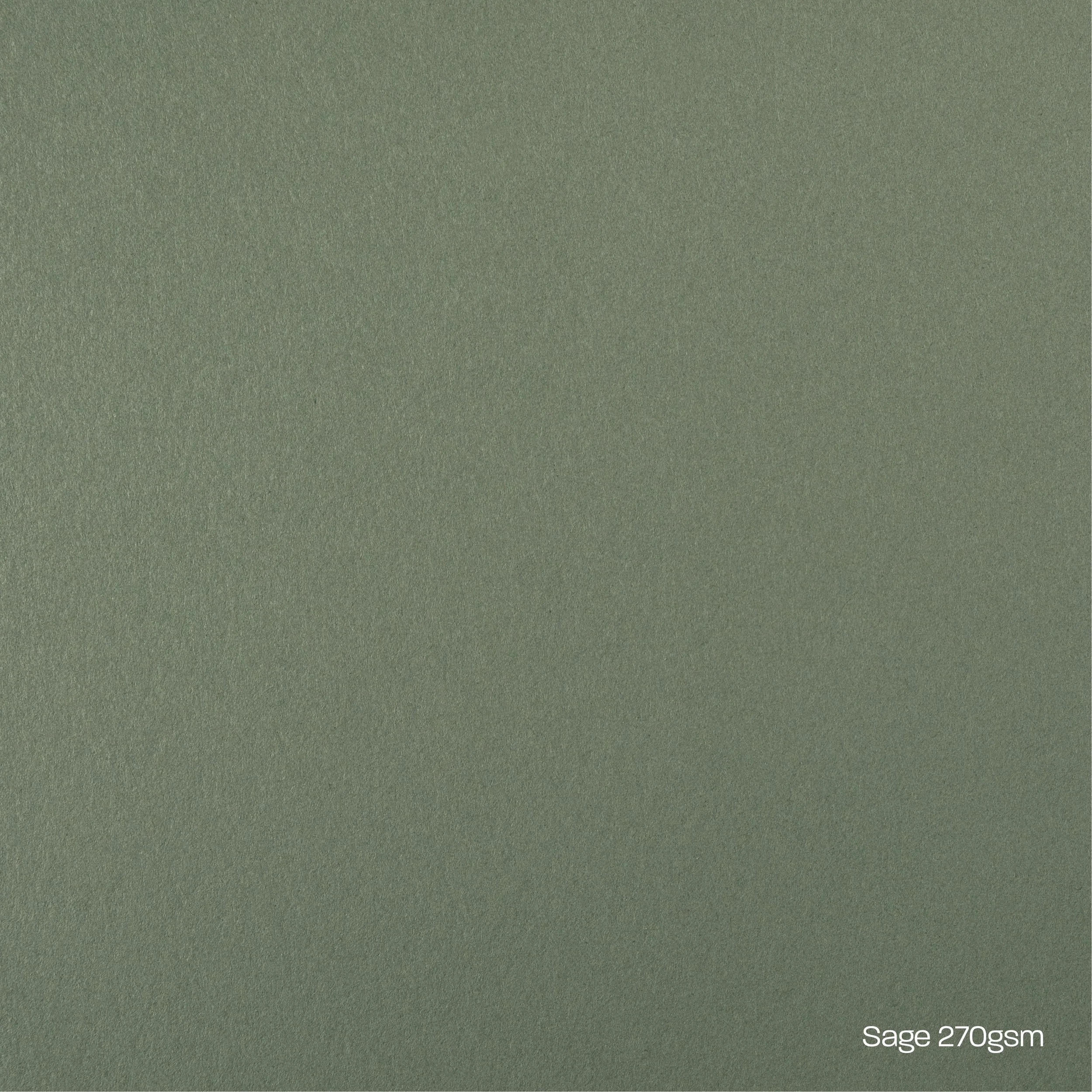 Sage Card Stock