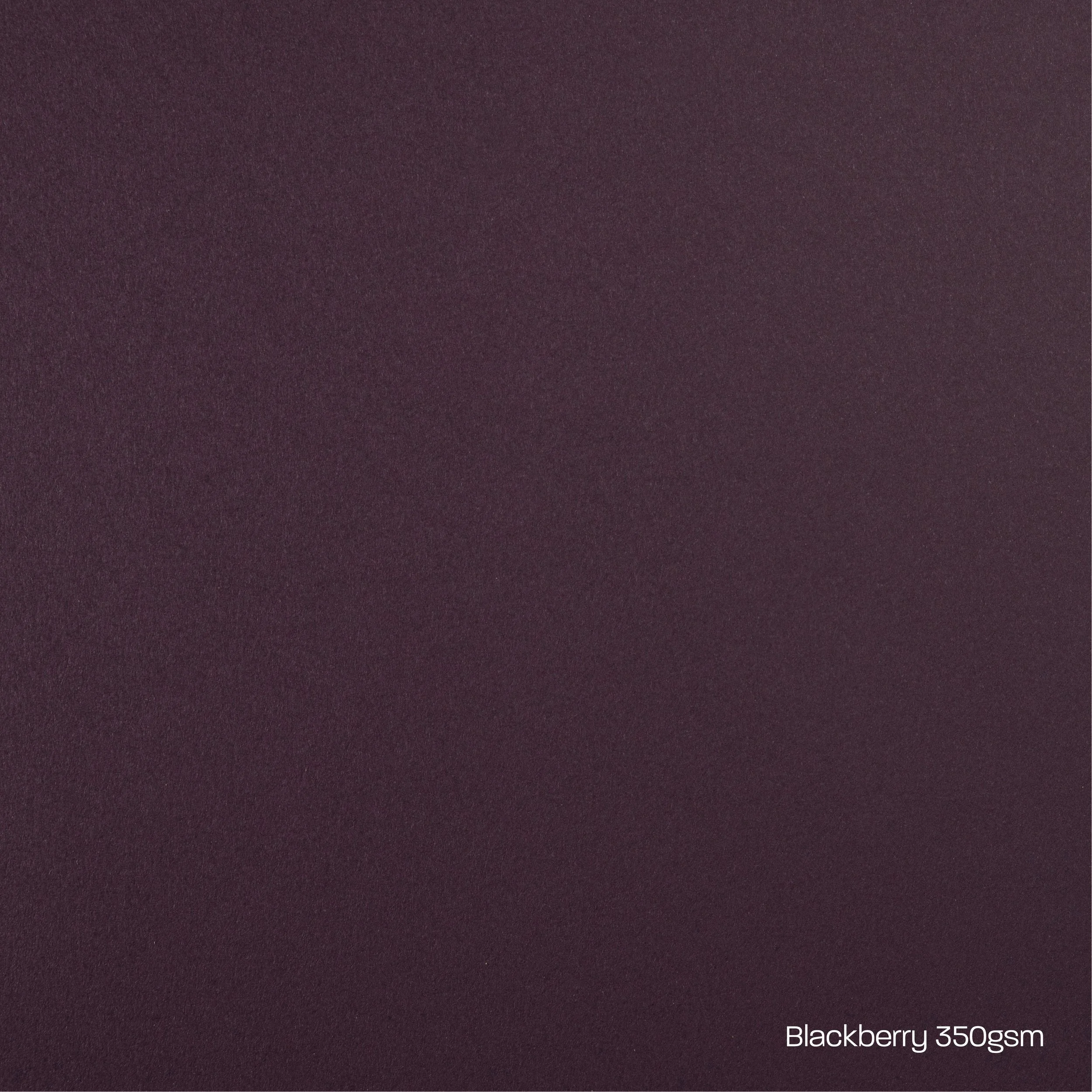 Blackberry Card Stock