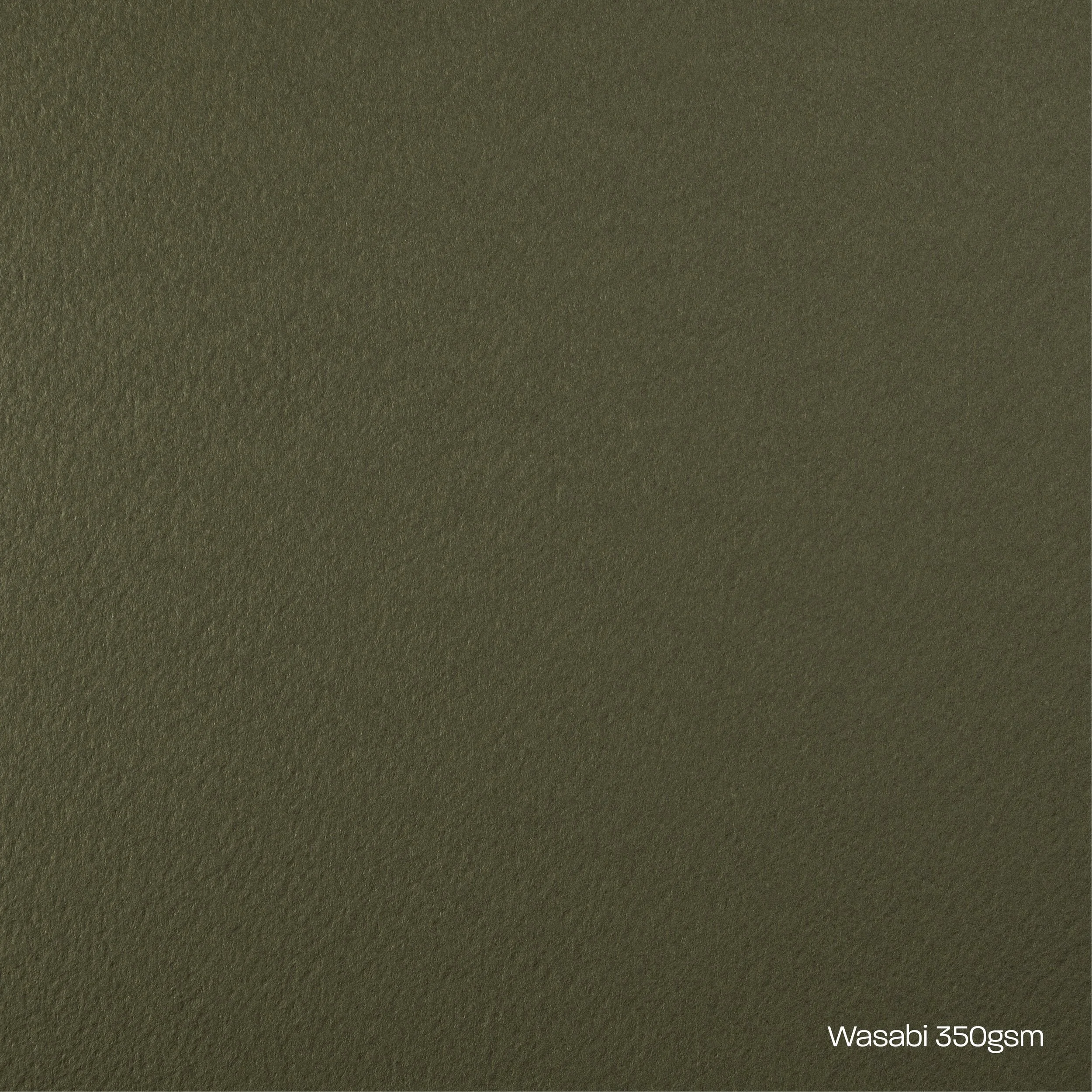 Wasabi Card Stock