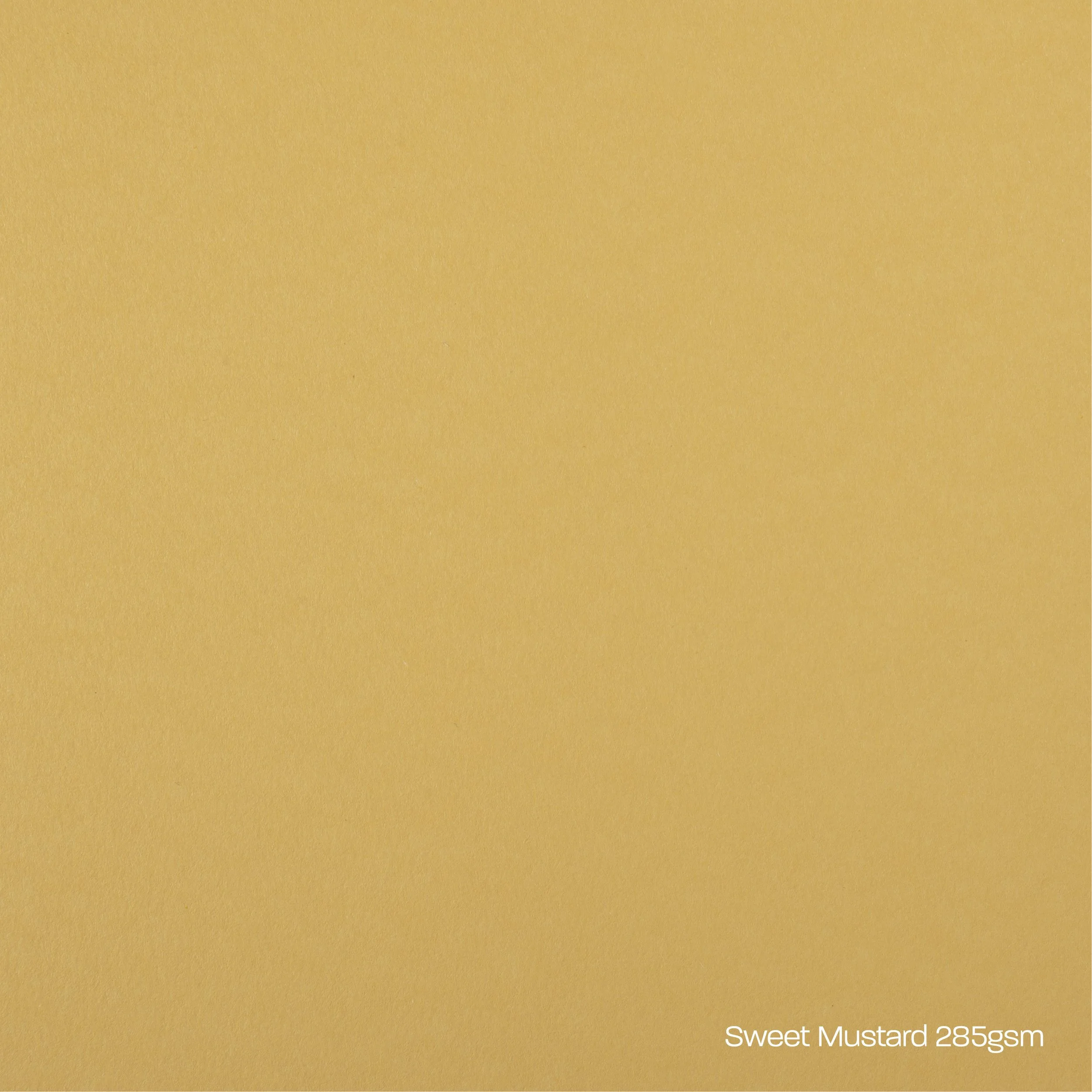 Sweet Mustard Card Stock