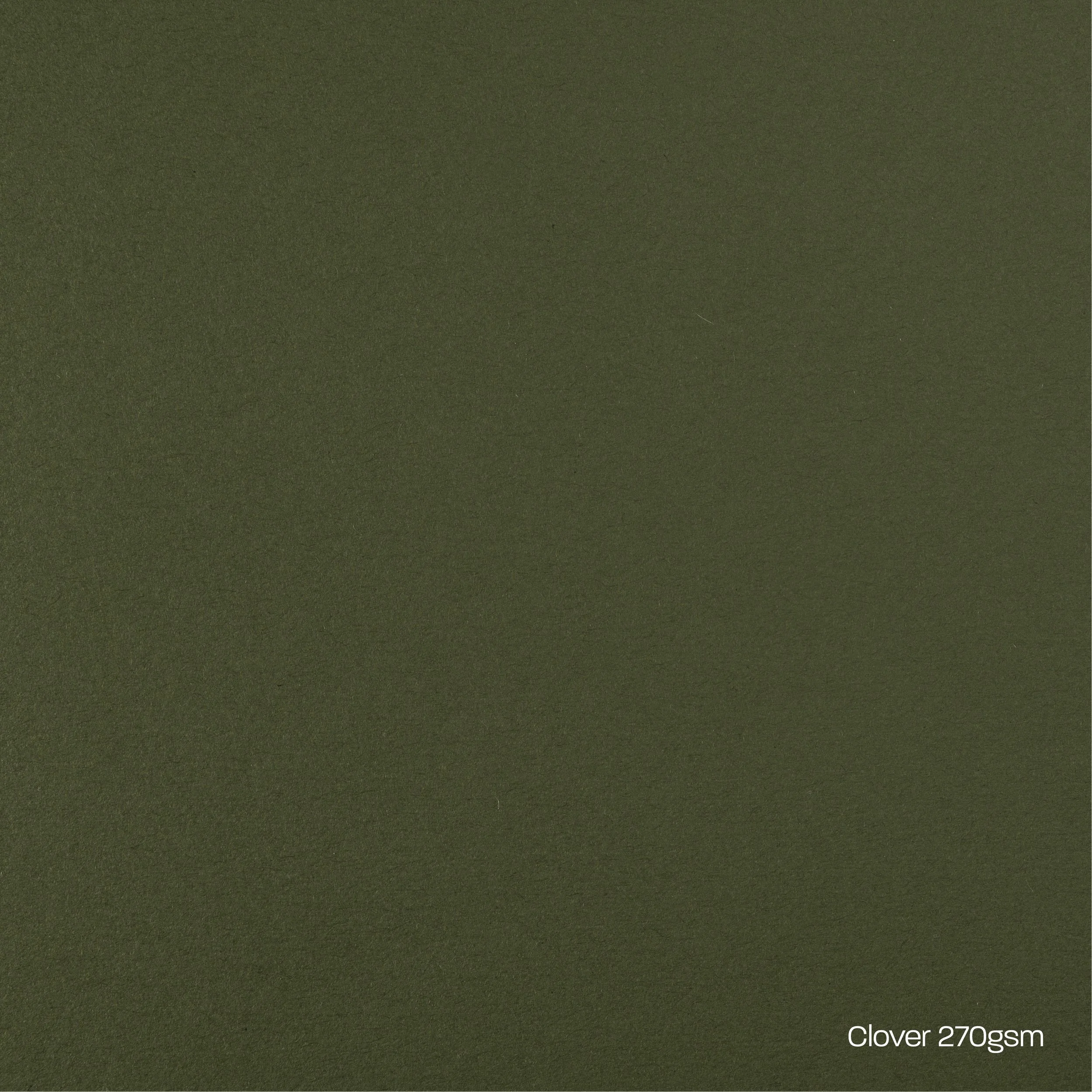 Clover Card Stock