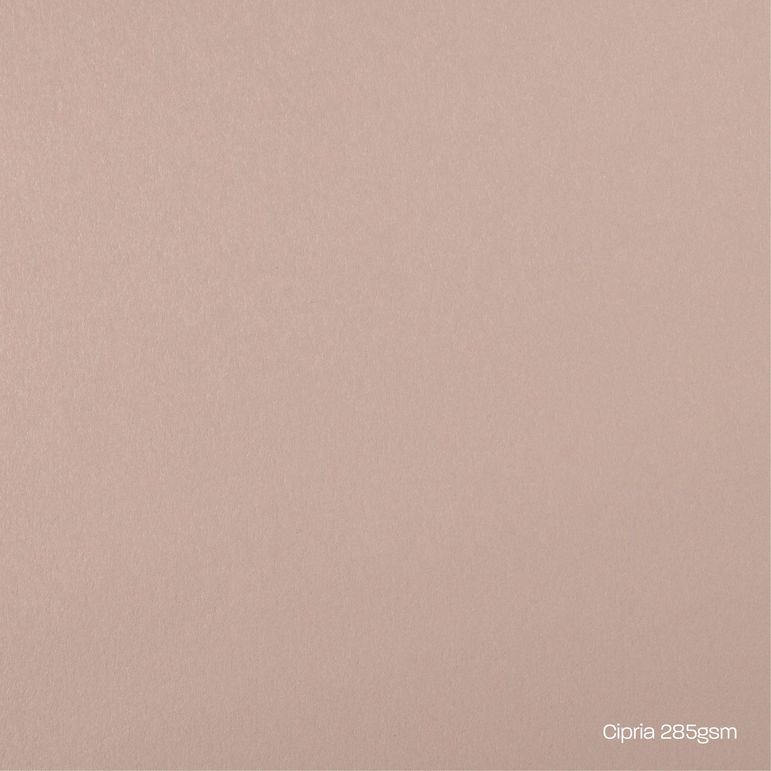 Cipria Card Stock