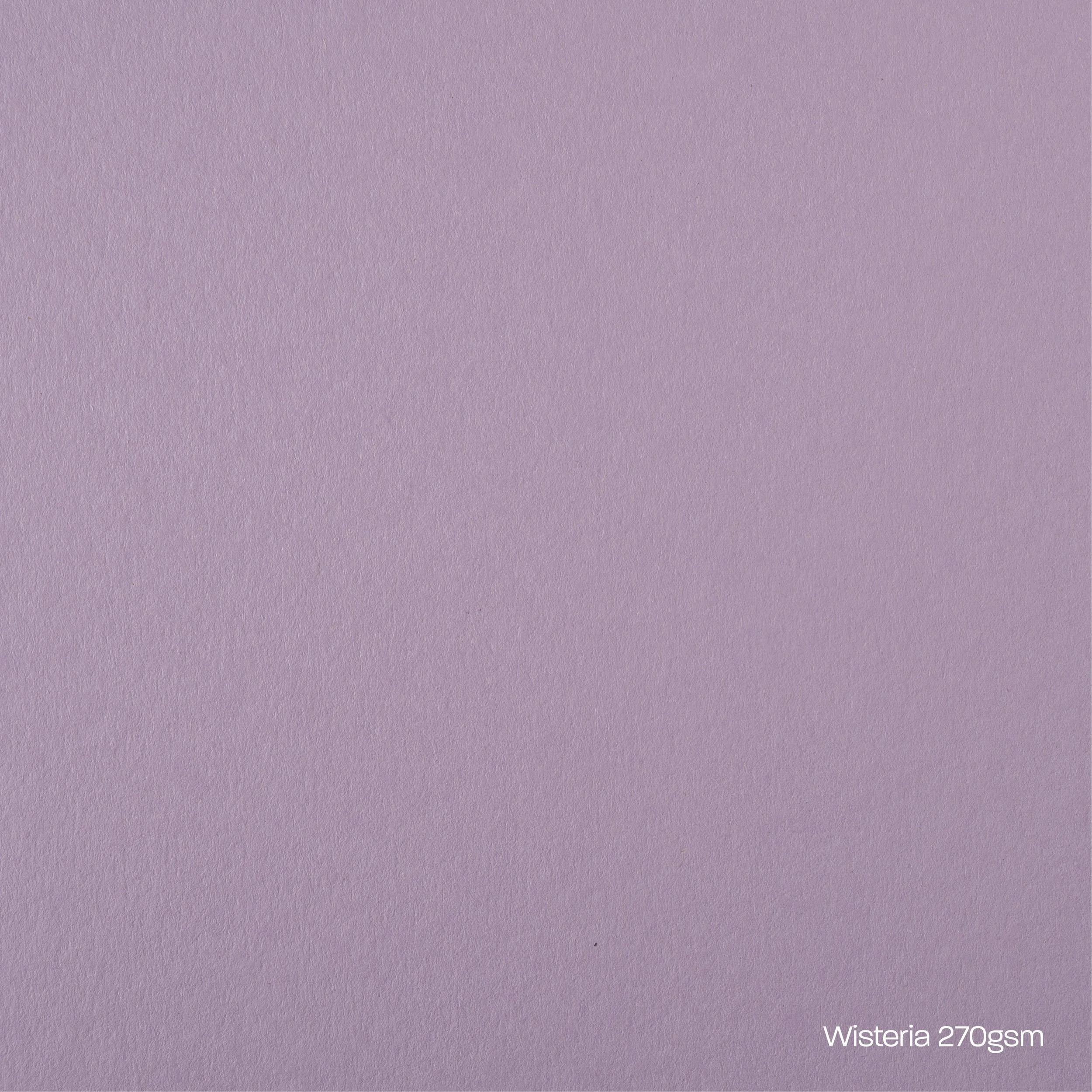 Wisteria Card Stock
