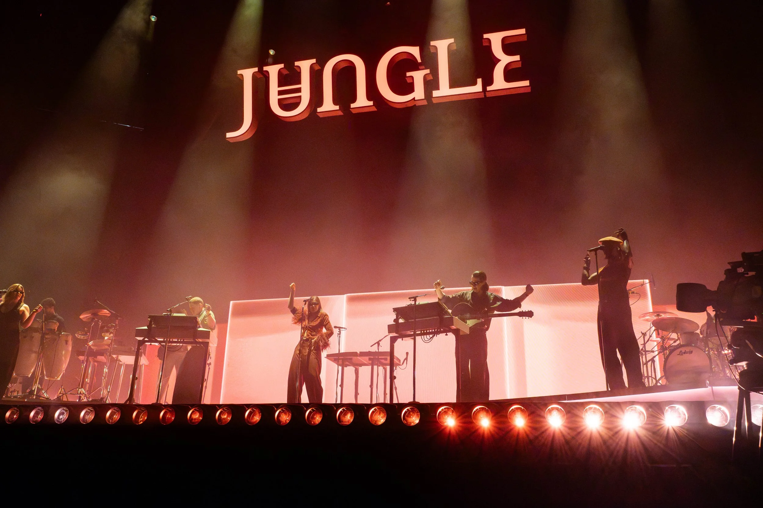 JUNGLE-04.jpg