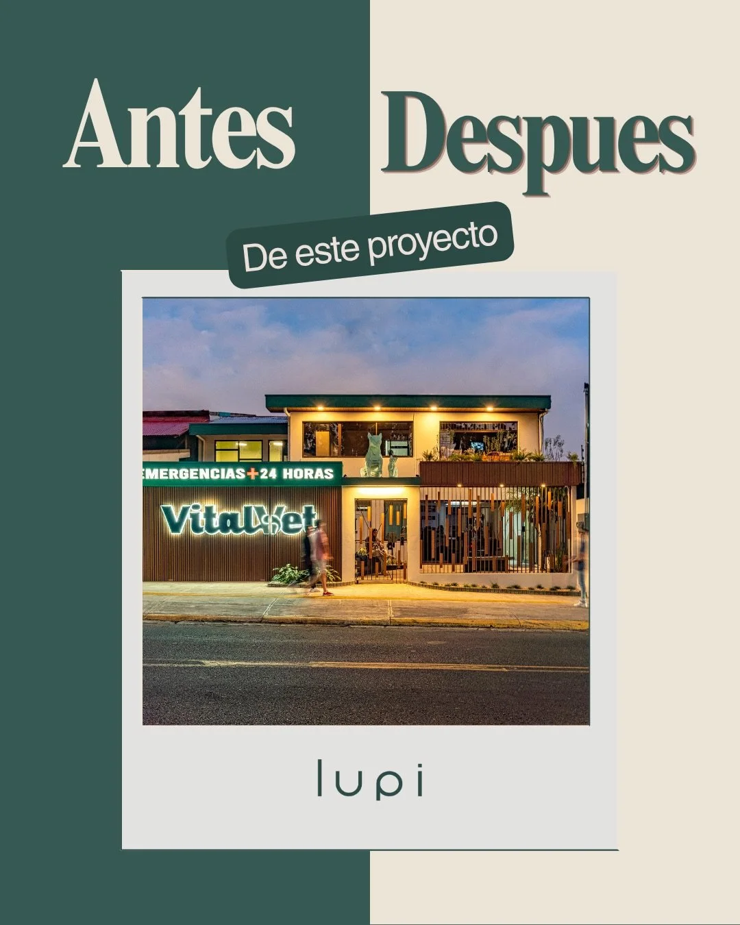 No borramos el pasado. Lo transformamos.

As&iacute; era VitalVet. Y as&iacute; es hoy.

Un hospital veterinario que pas&oacute; de pisos fr&iacute;os y espacios improvisados a un lugar pensado para que cada paciente se sienta en calma y cada profesi