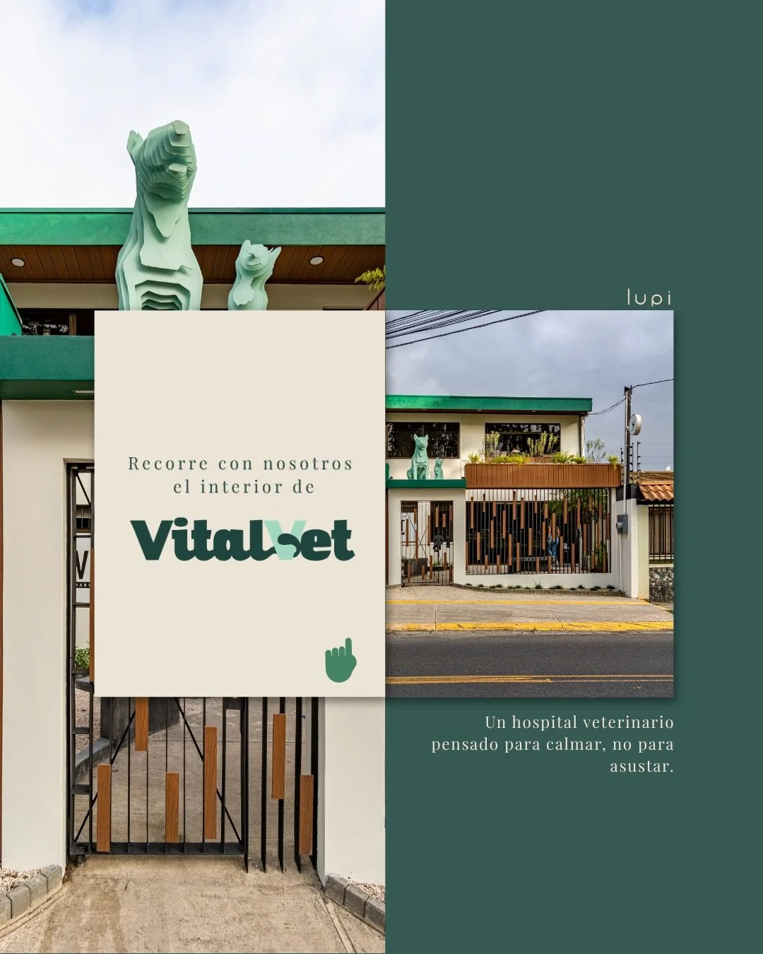 🐶Un hospital veterinario 🐱 pensado para calmar, no para asustar.

Recorr&eacute; con nosotros el interior de @hospitalvitalvet . Cada consultorio, cada pasillo y cada detalle est&aacute; dise&ntilde;ado para que tu mascota llegue m&aacute;s tranqui