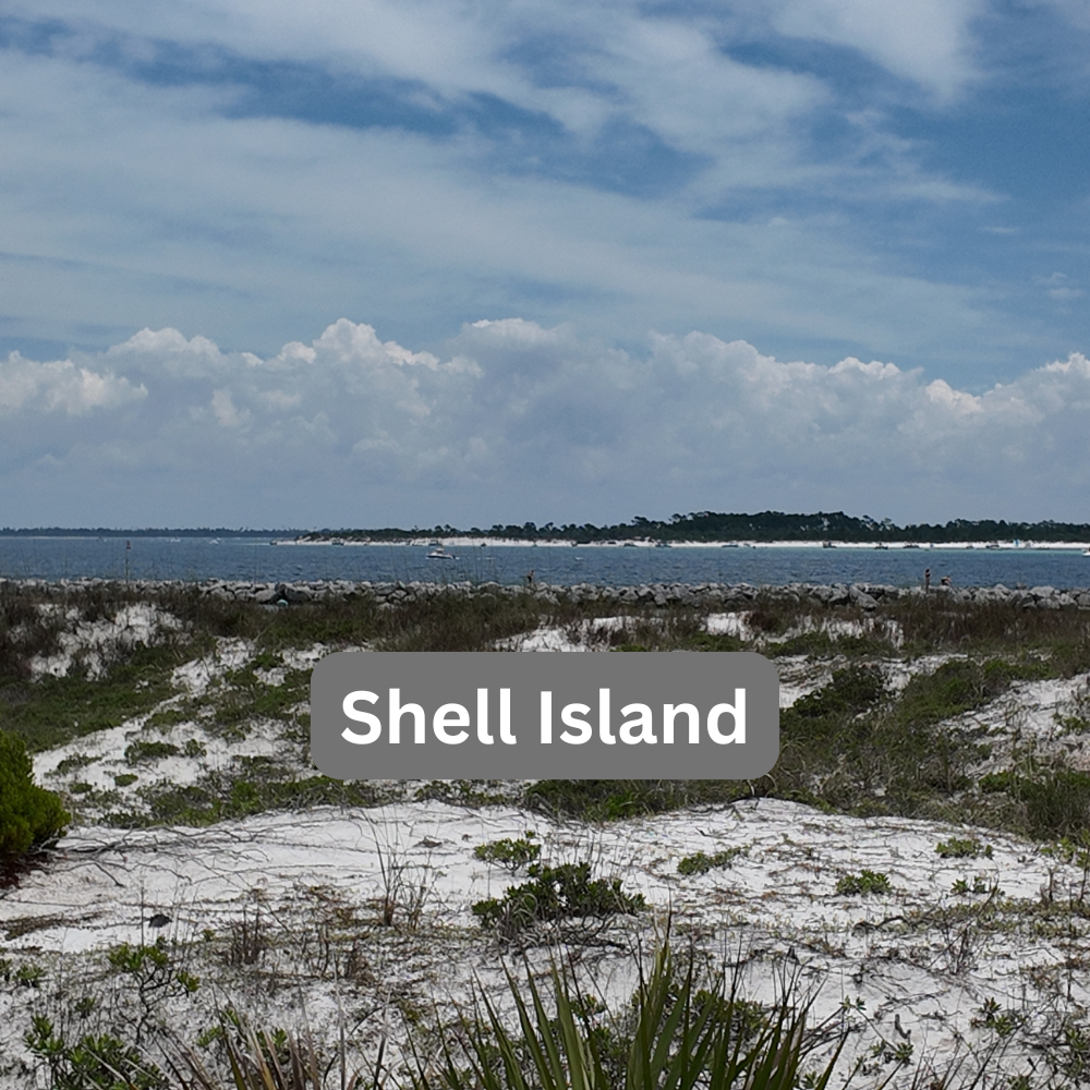 Why Shell Island Is One of the Best Experiences in Panama City Beach