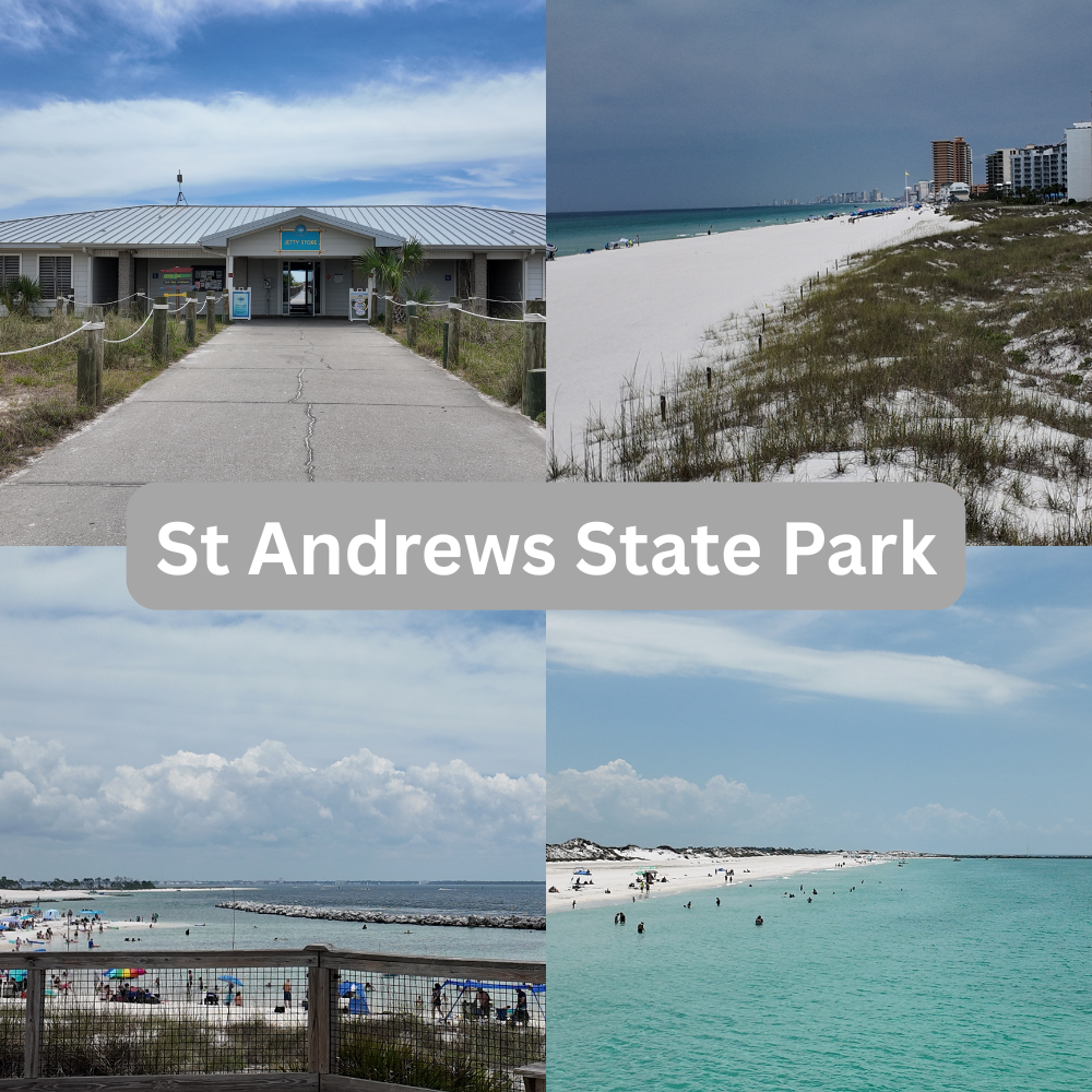 Why St. Andrews State Park Is a Must-Visit in Panama City Beach