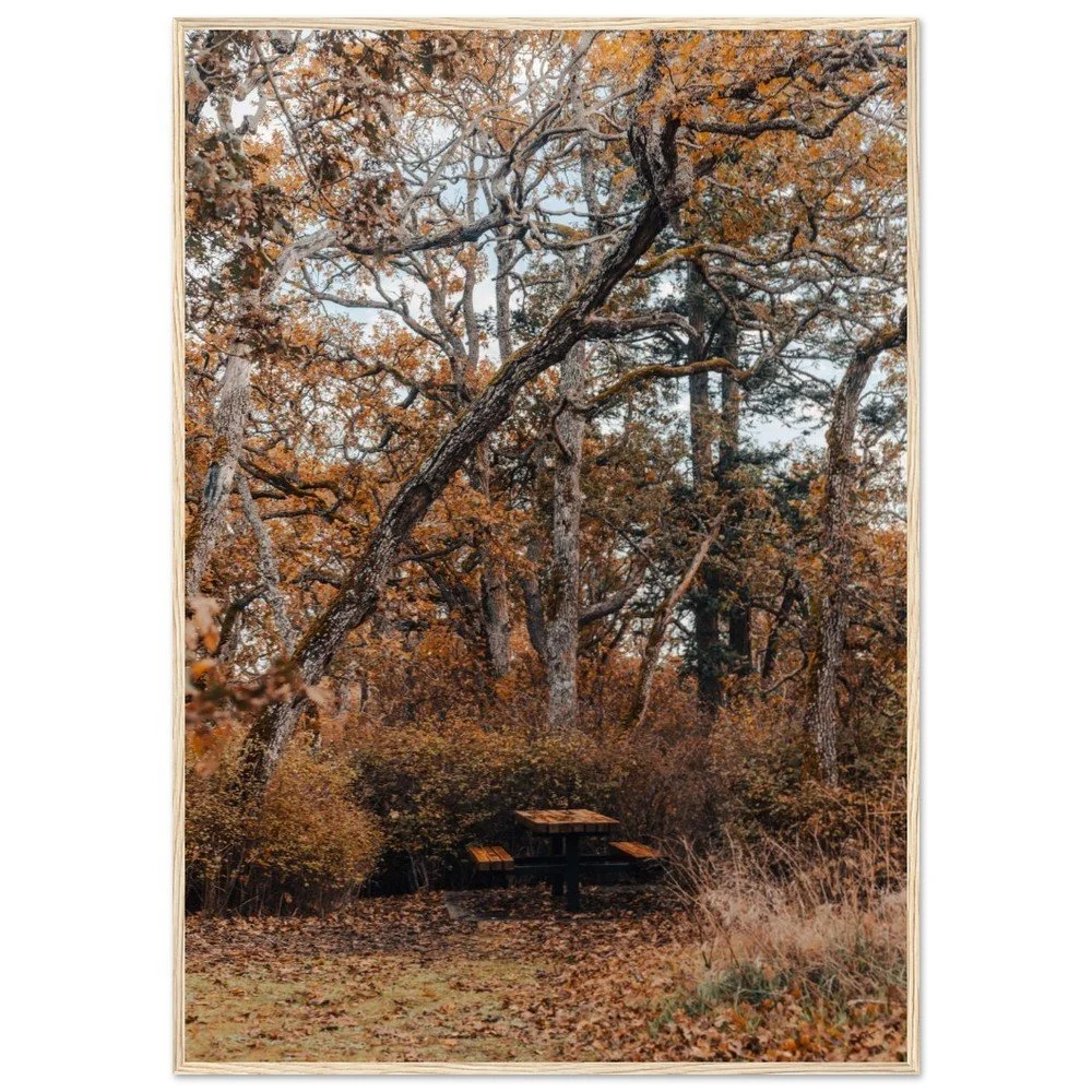 tmp-152-PIl5fu71yQ5Q