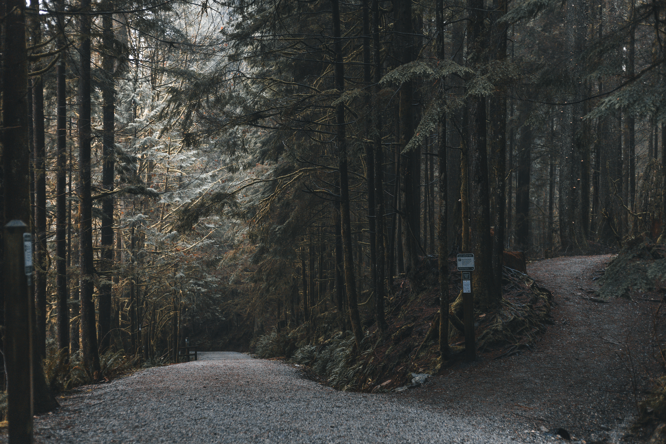 Screenshot 2025-02-04 at 3.56.48 PM.png