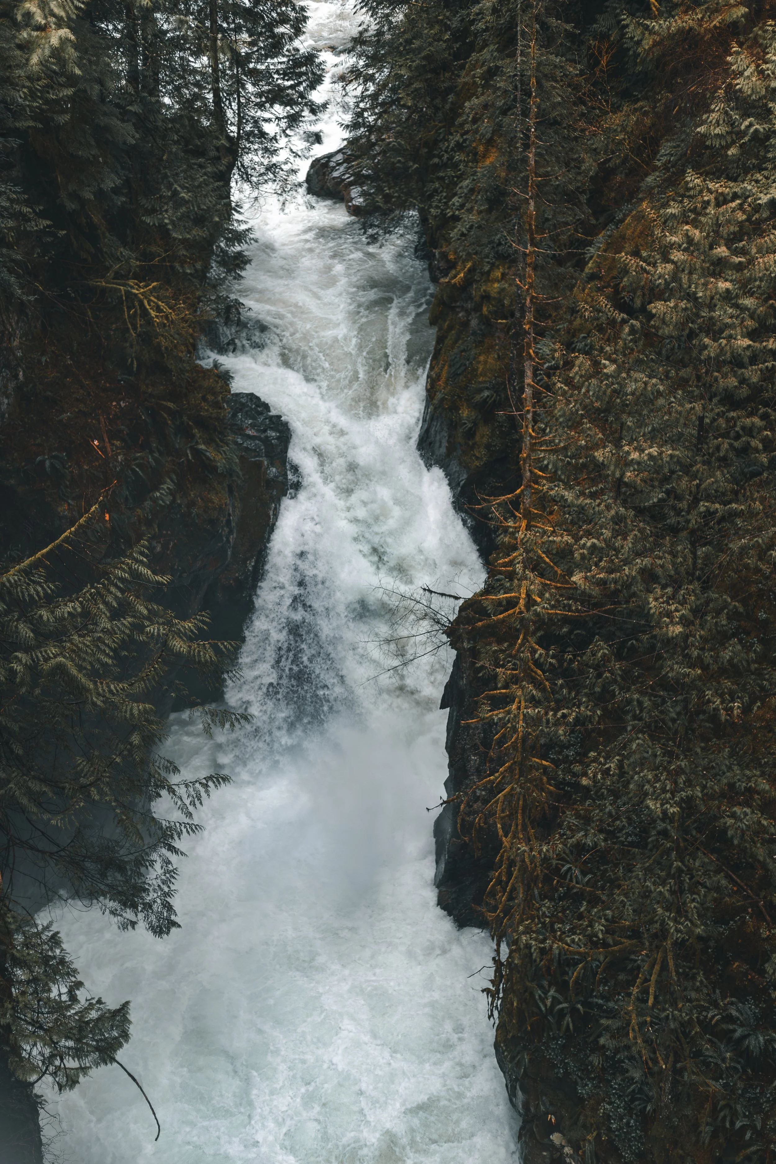 IMG_7265 2-Enhanced-NR.jpg