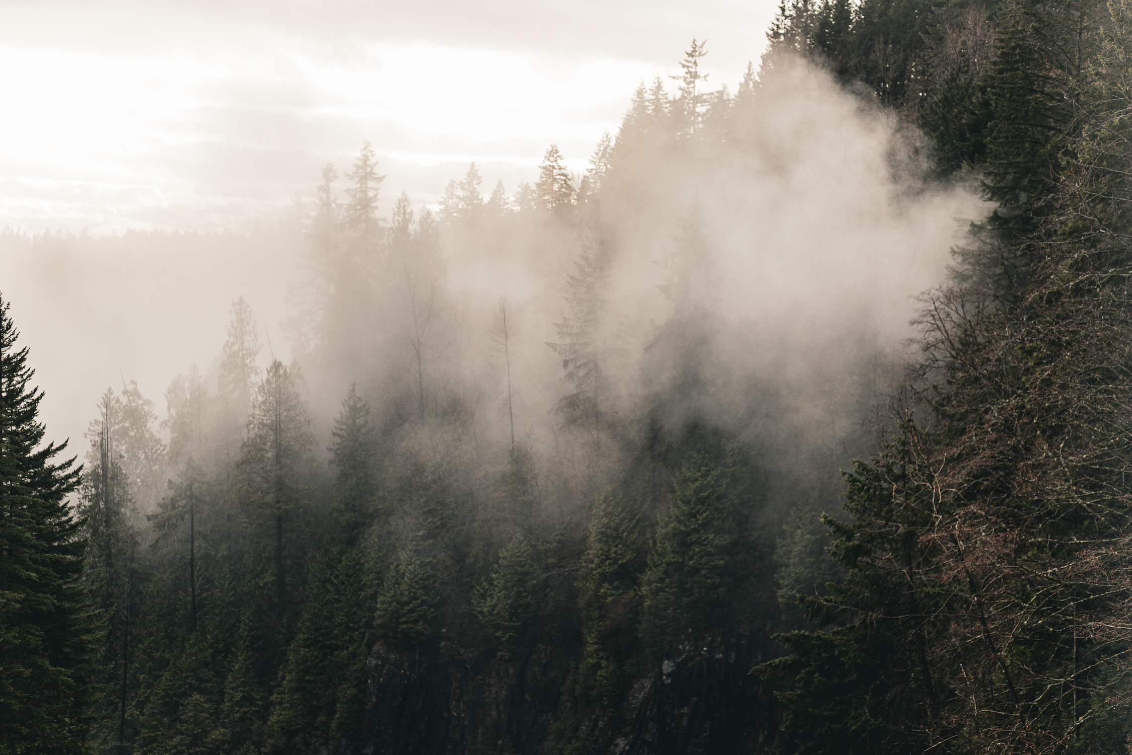 Screenshot 2025-02-04 at 3.56.29 PM.png