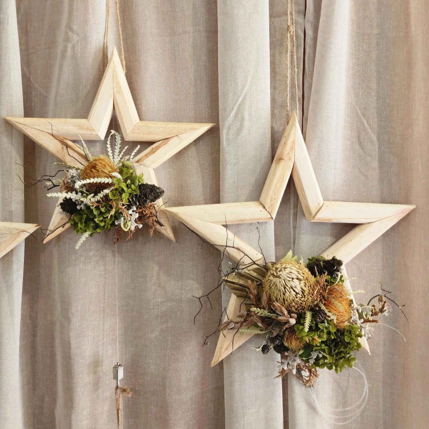 Festive Preserved Stars