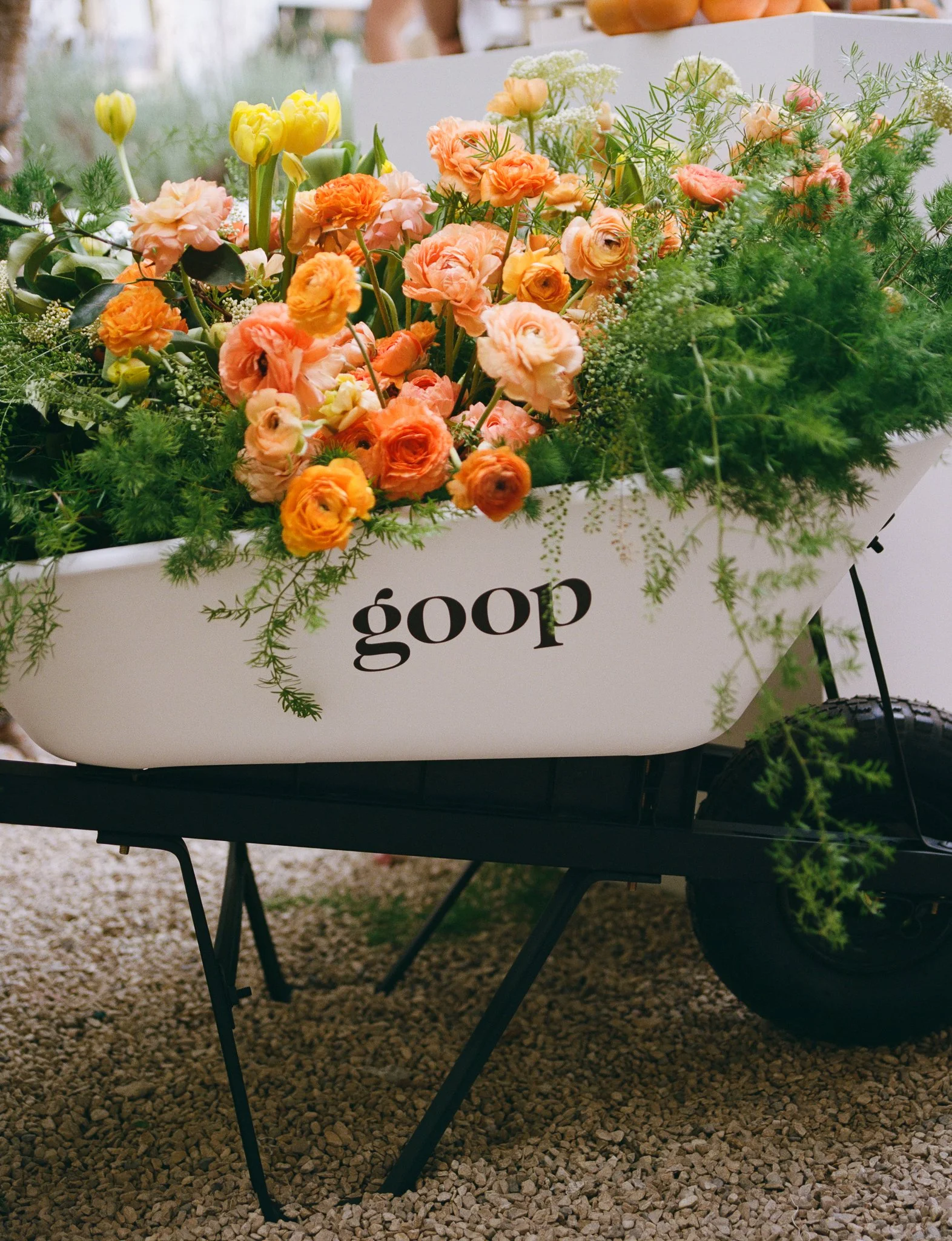 EmilyPinto_goop_1.jpg
