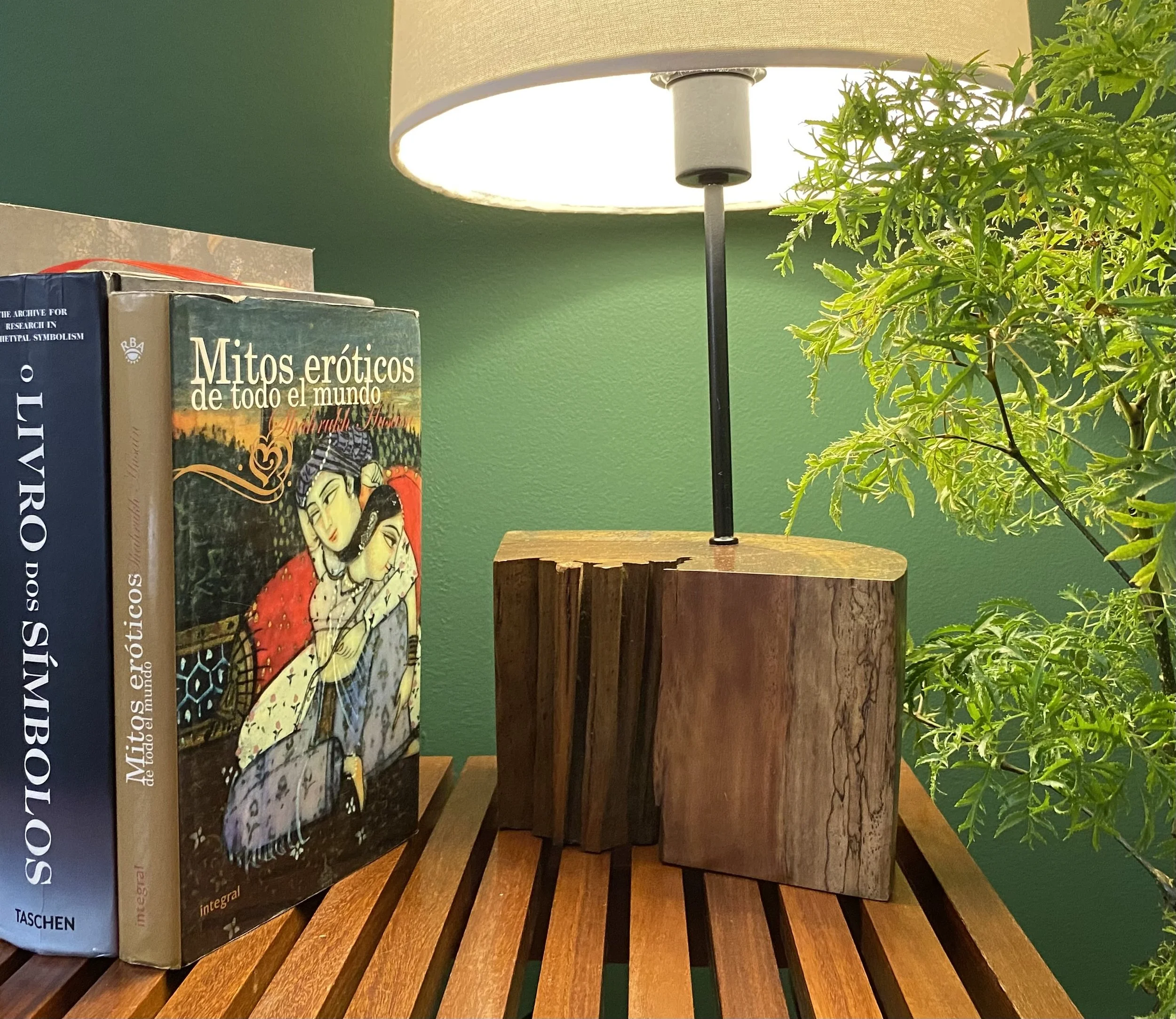 Uma mesa de madeira com um livro sobre mitos eróticos, uma luminária de abajur de tecido com base de madeira, uma planta verde ao lado e uma parede verde ao fundo.
